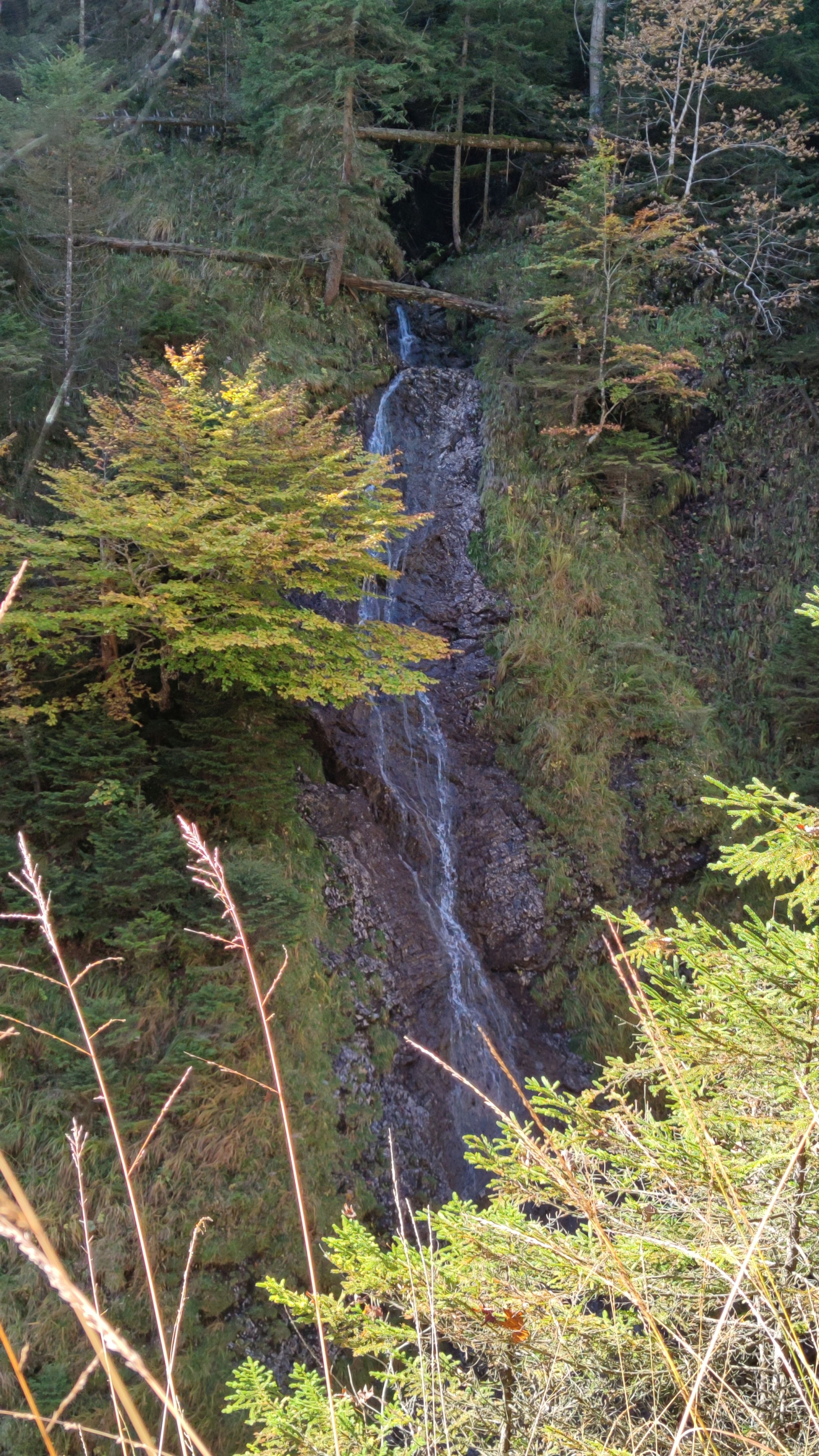 IMG_20221005_105923 be.jpg