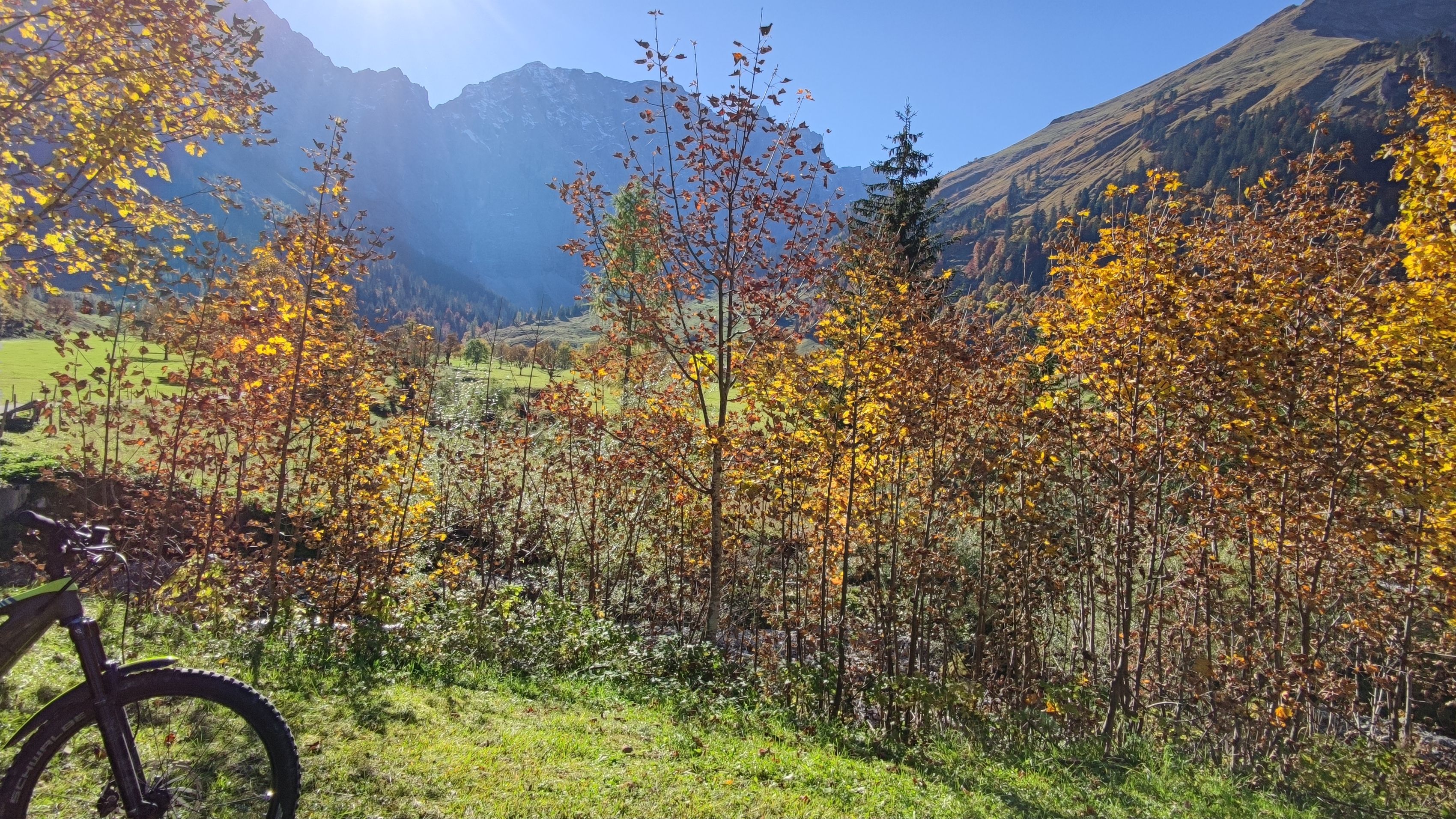 IMG_20221007_153706.jpg