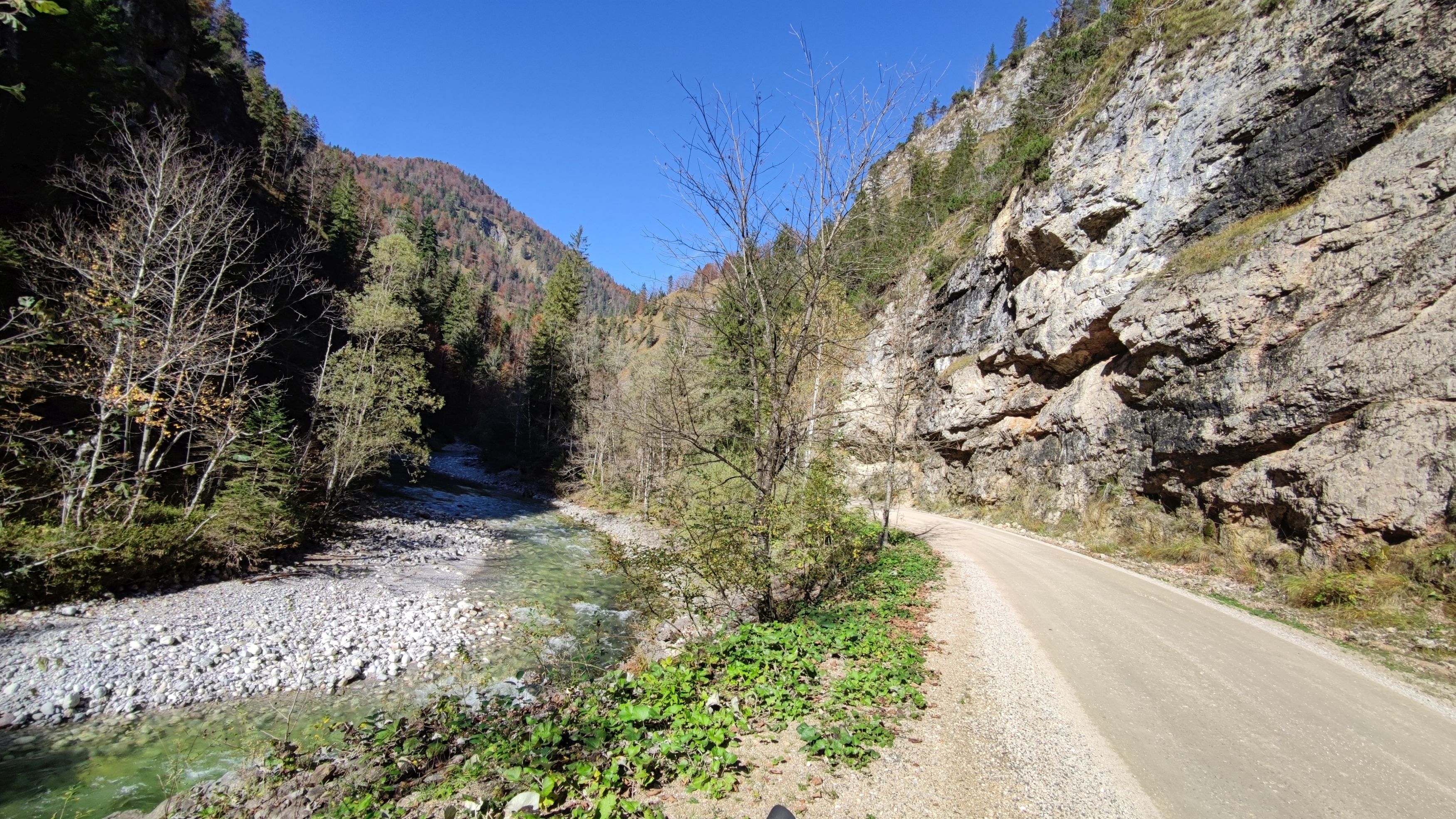 IMG_20221017_125109.jpg