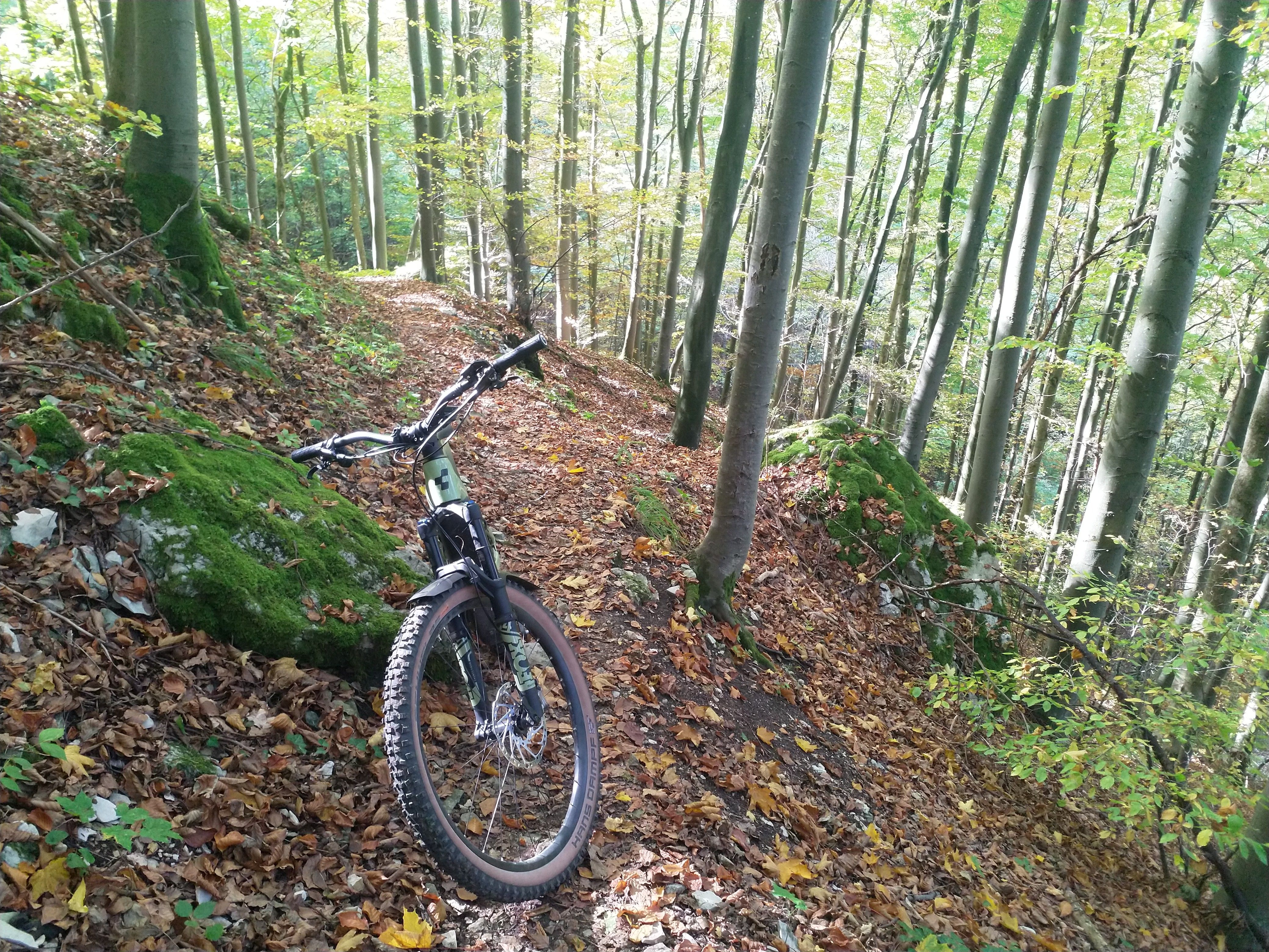 IMG_20221017_131928.jpg