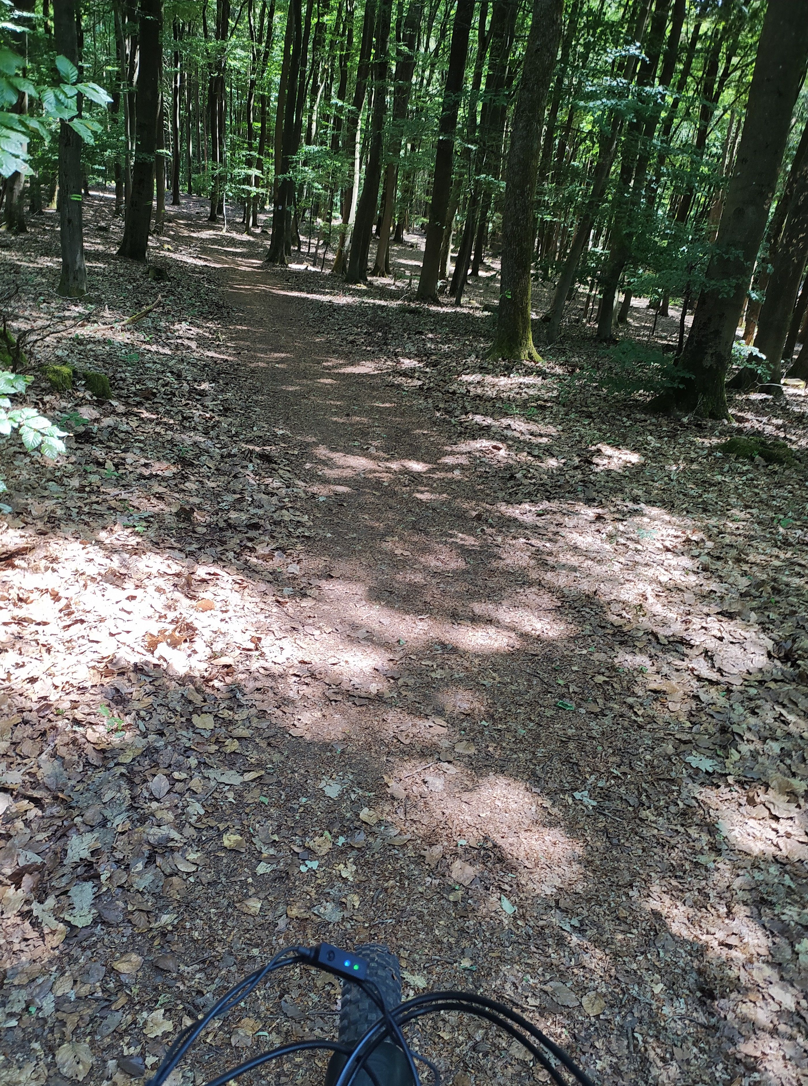 IMG_20230604_144906_1.jpg