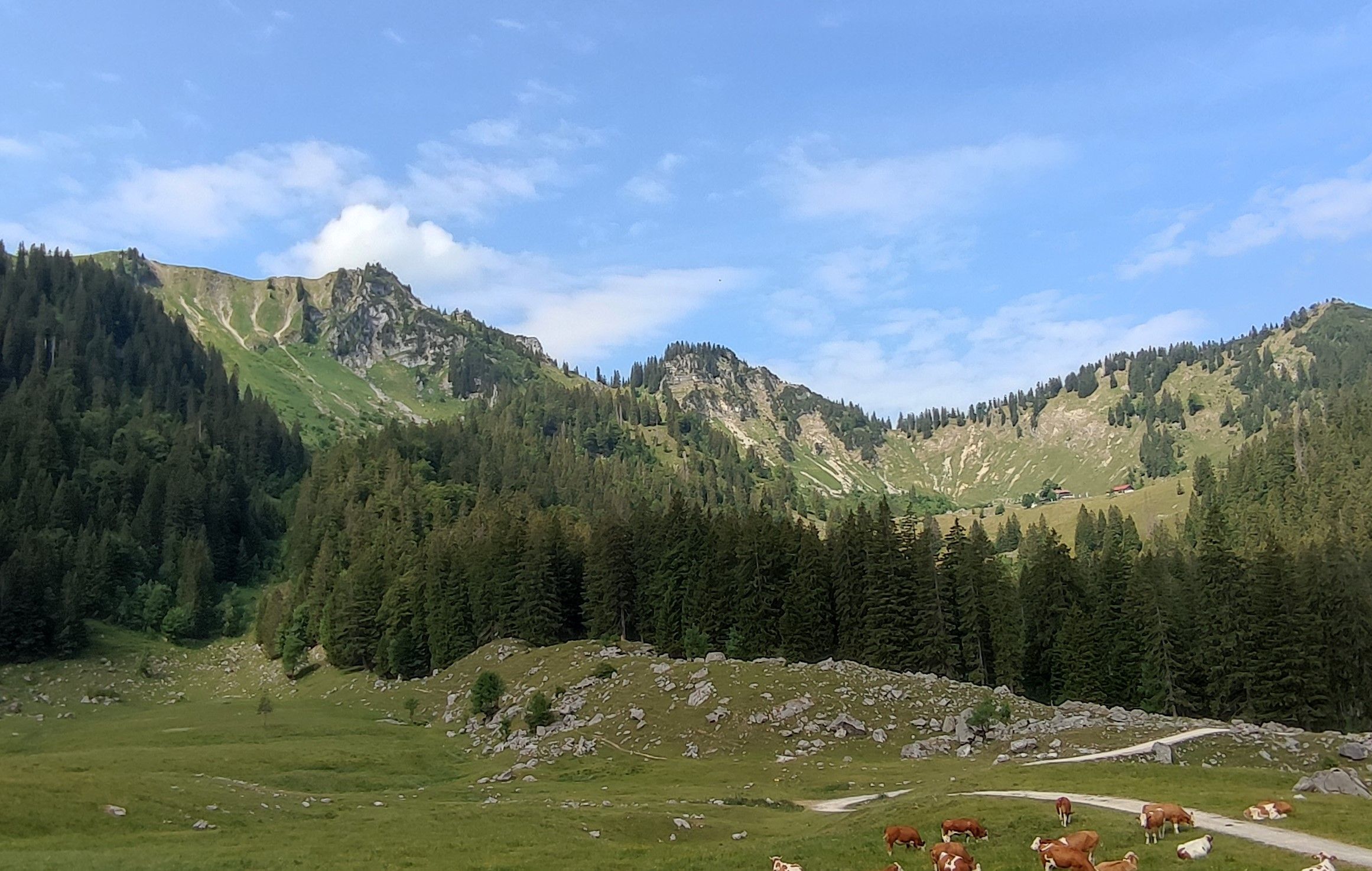 IMG_20230619_103723 (2).jpg
