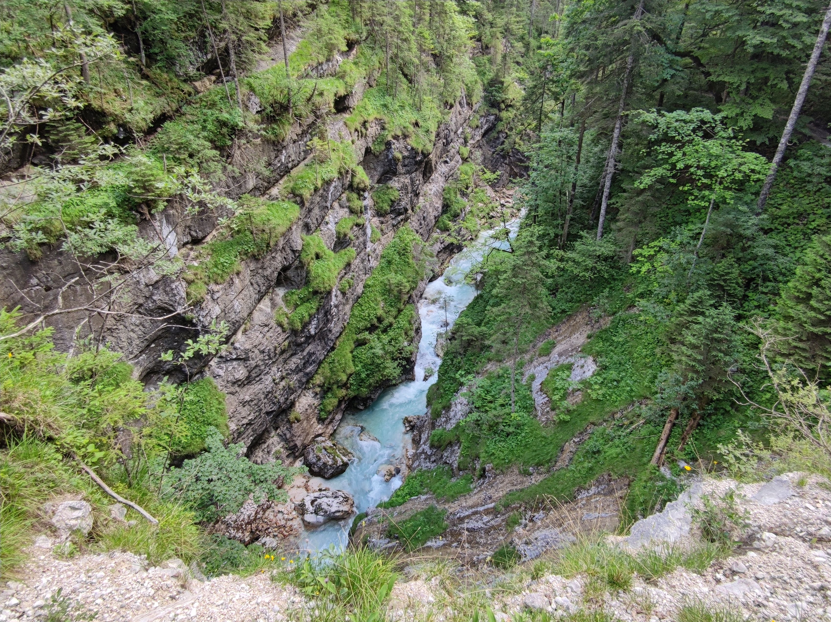 IMG_20230709_150156.jpg