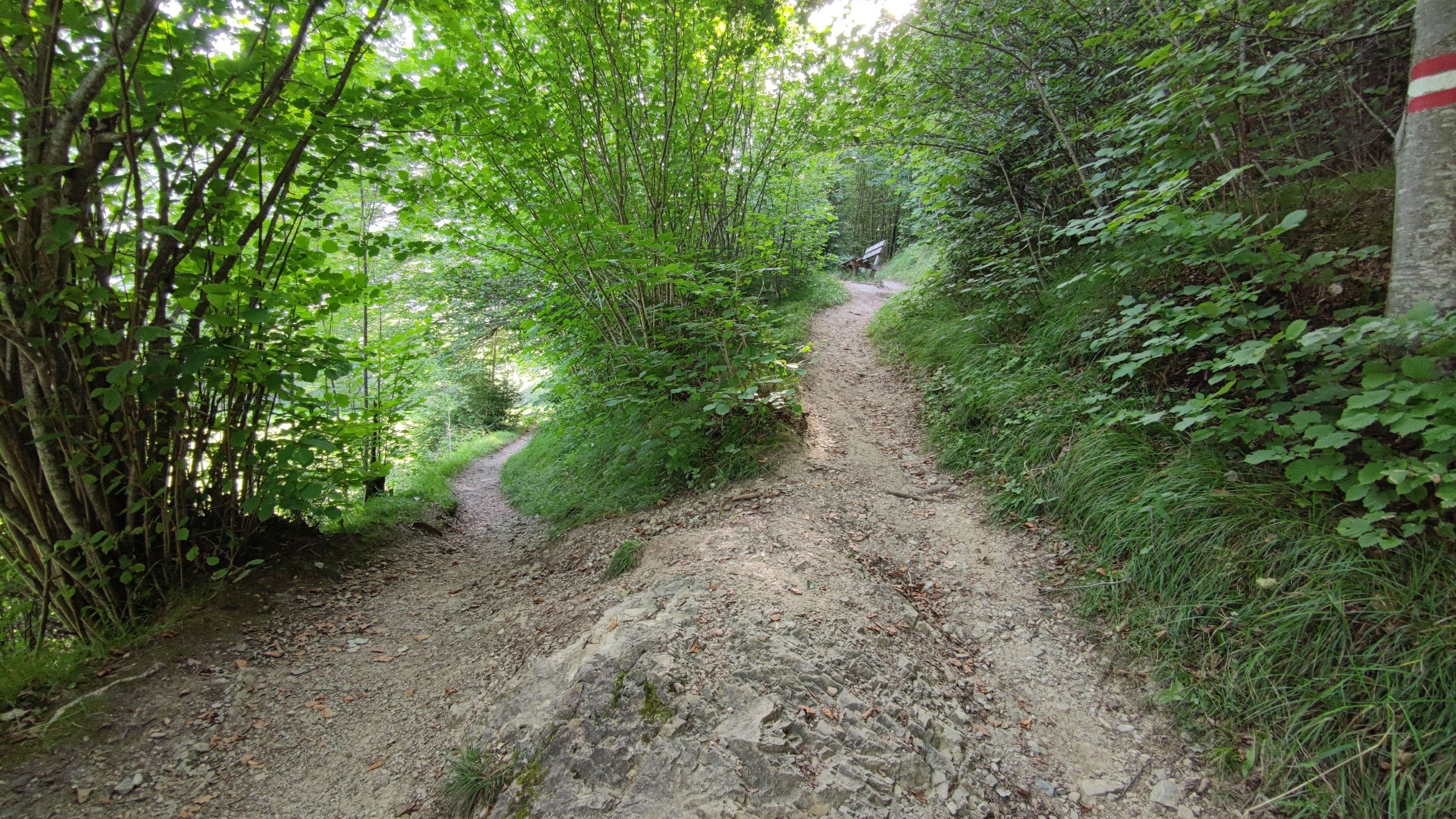 IMG_20230824_173750.jpg