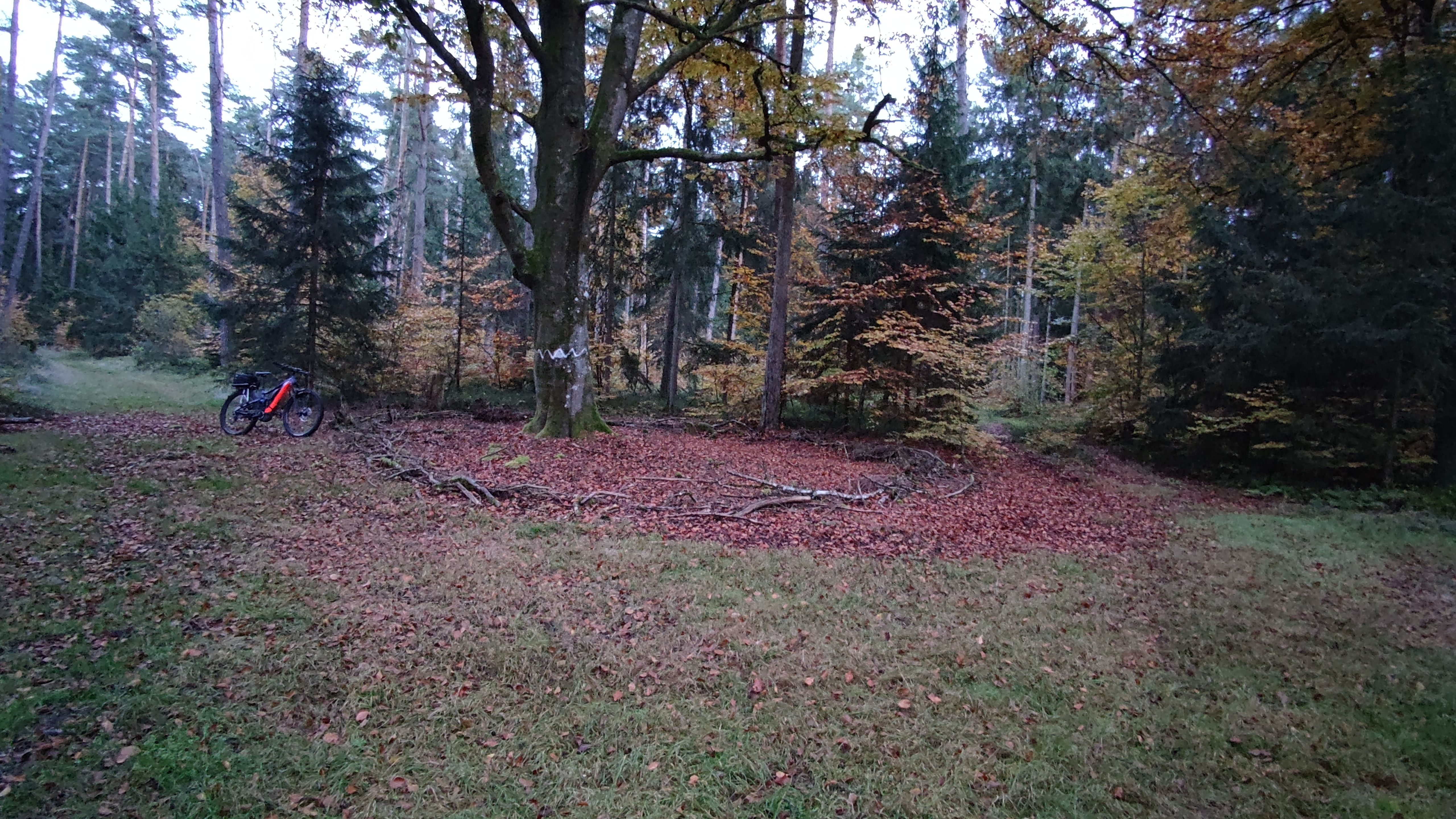 IMG_20231101_165859.jpg