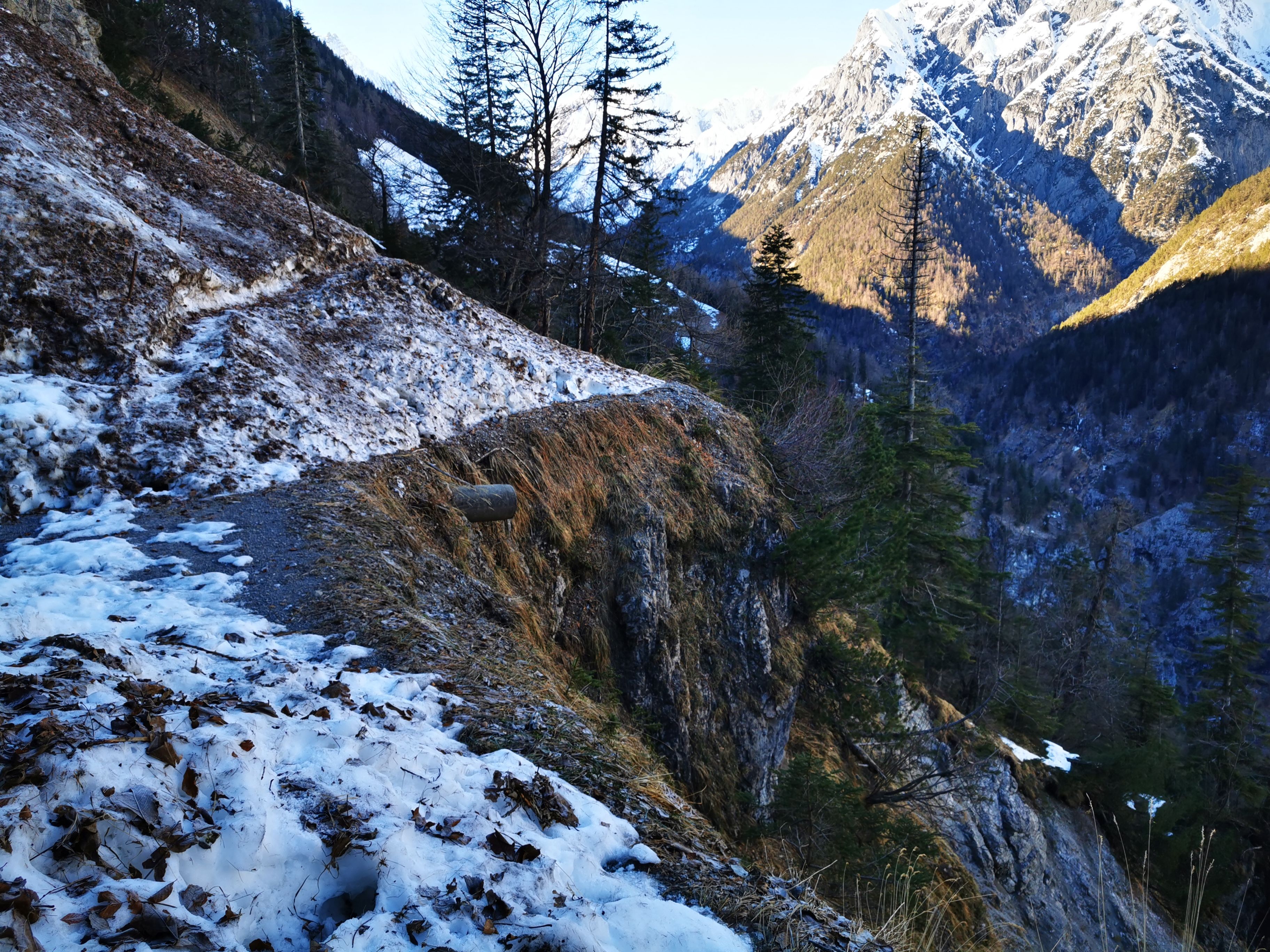 IMG_20240128_143404.jpg