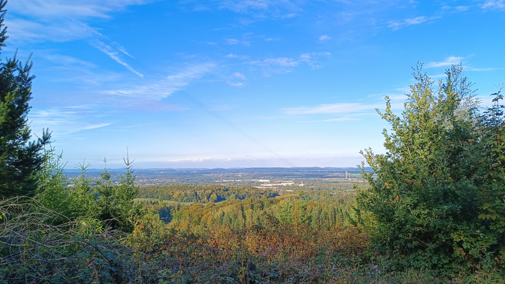 IMG_20250930_165839.jpg