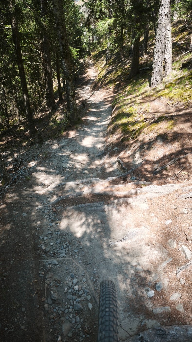 IMG_20260626_141457.jpg