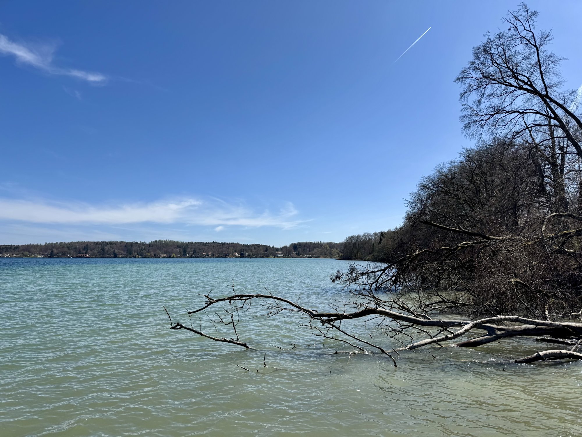 IMG_2192.jpeg
