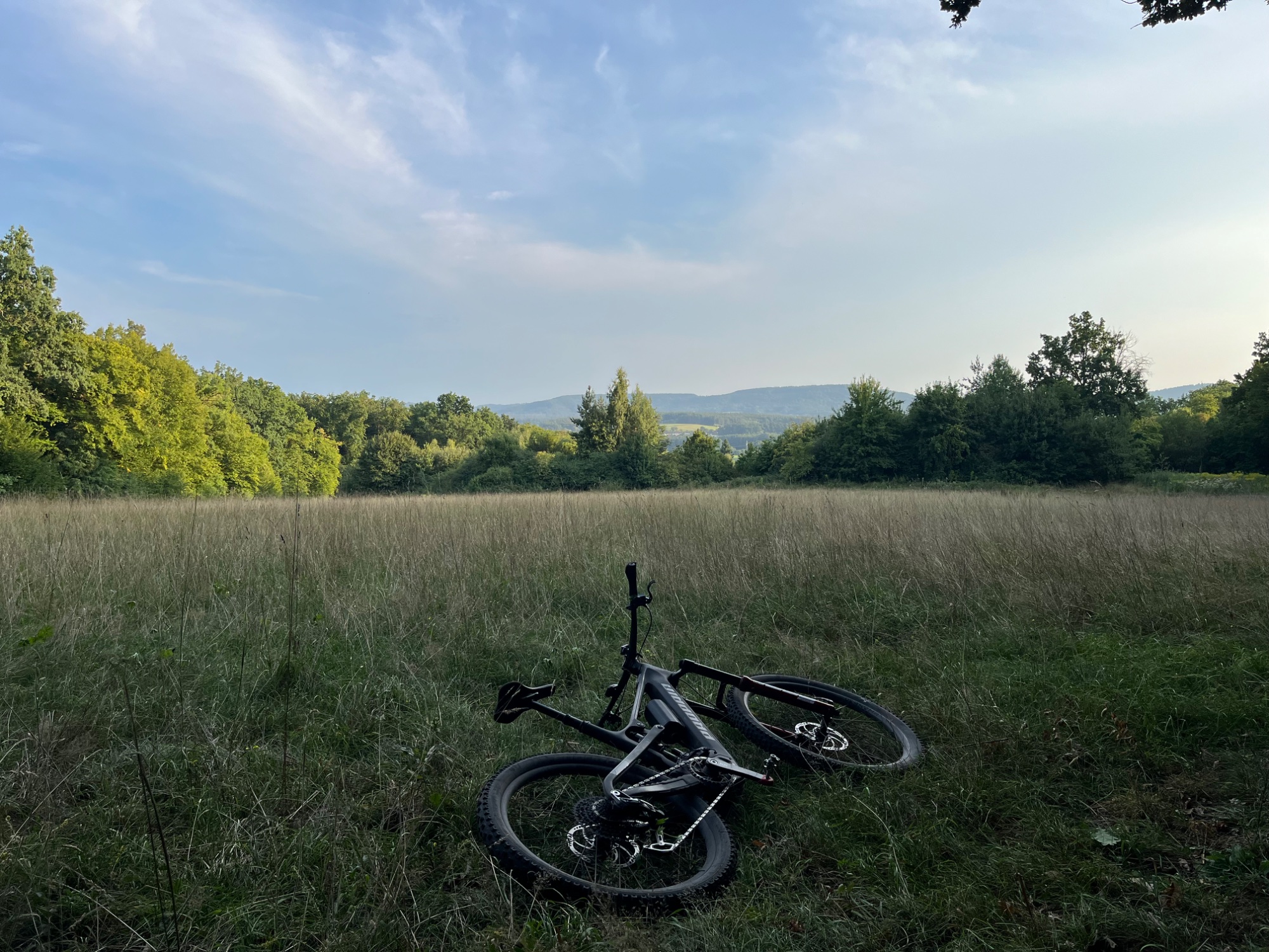 IMG_3406.jpeg