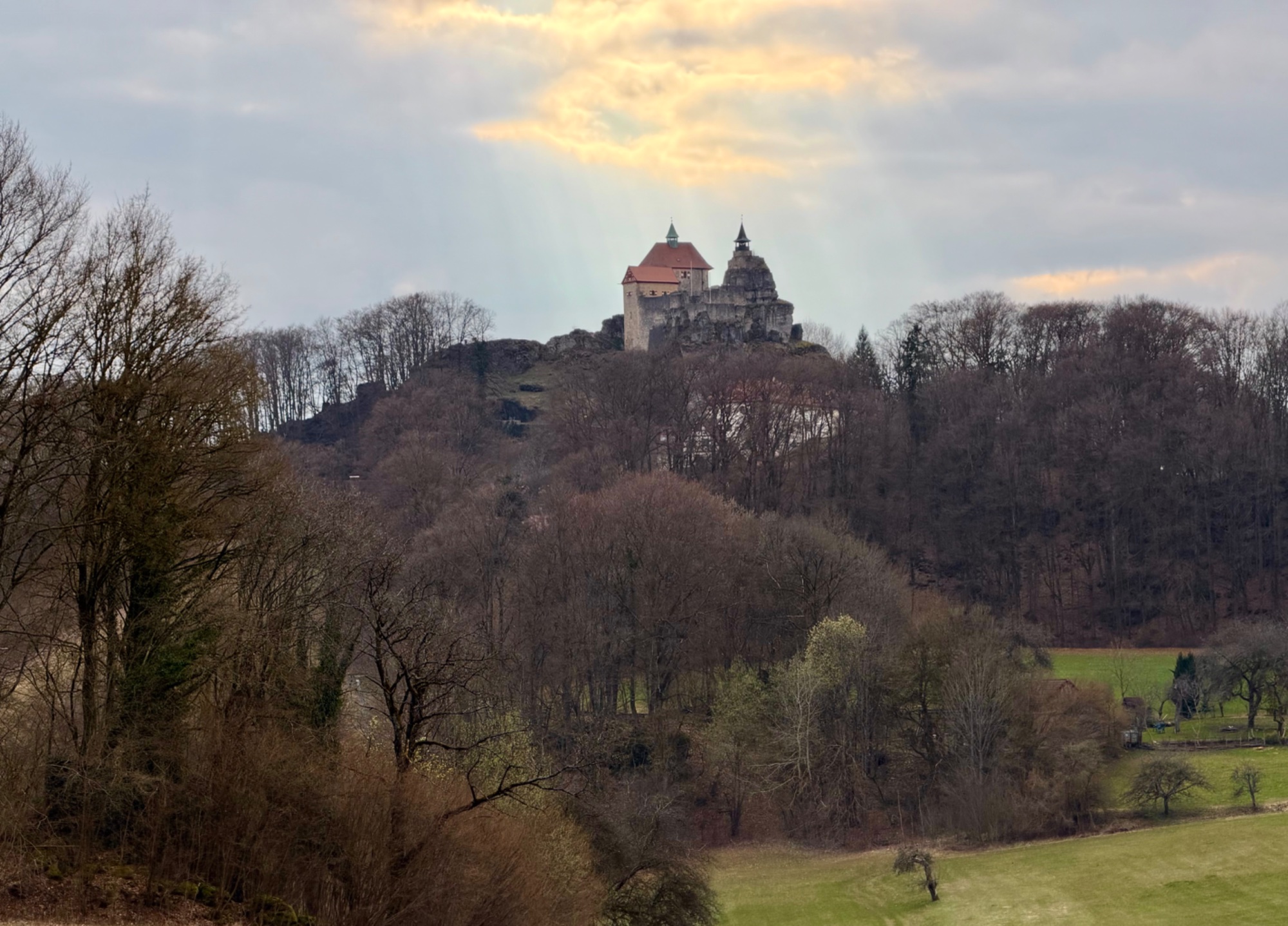 IMG_4368.jpeg