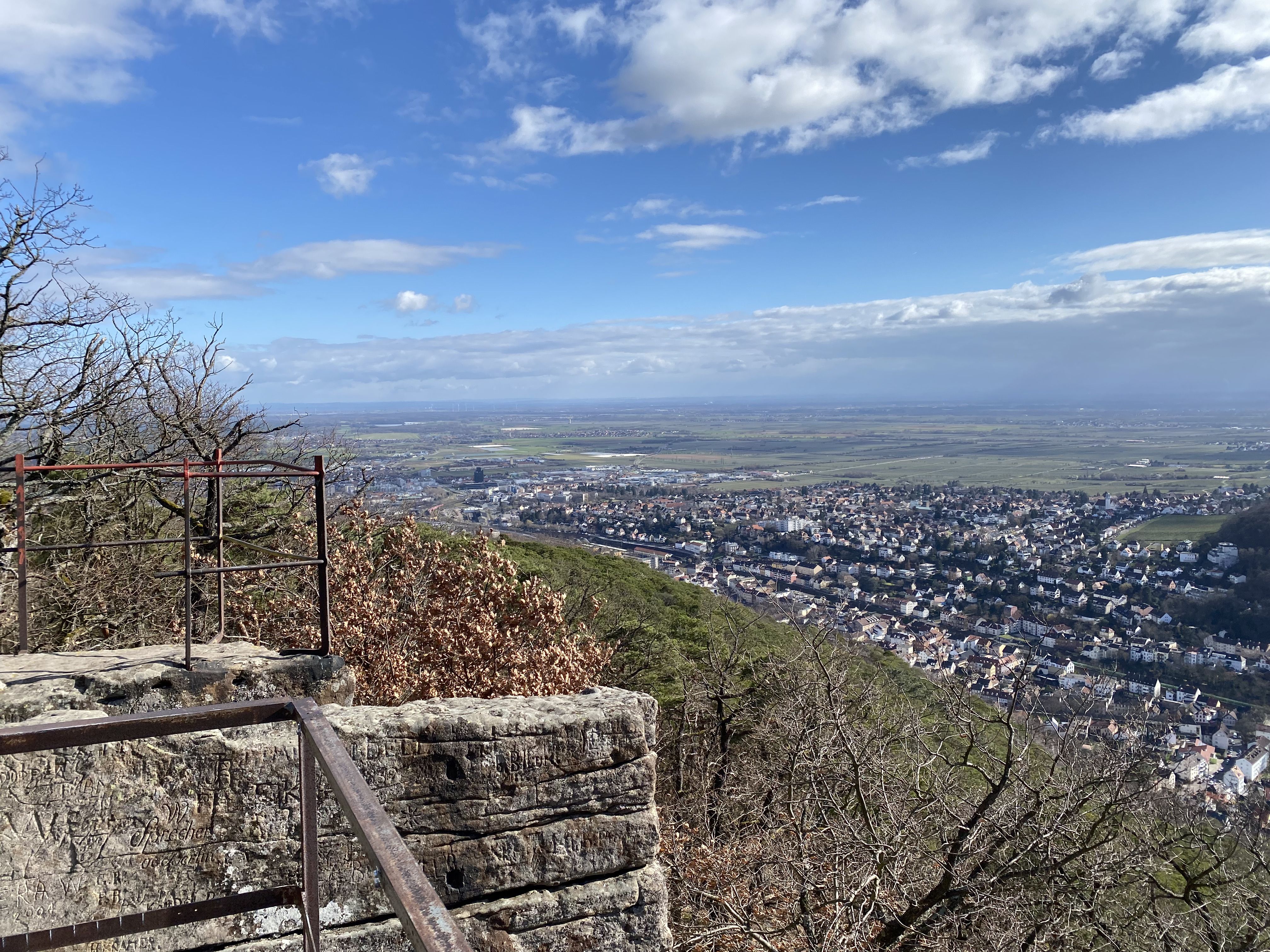 IMG_4743.jpeg