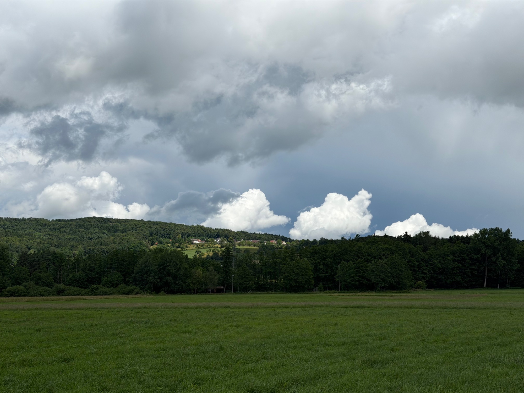 IMG_4937.jpeg