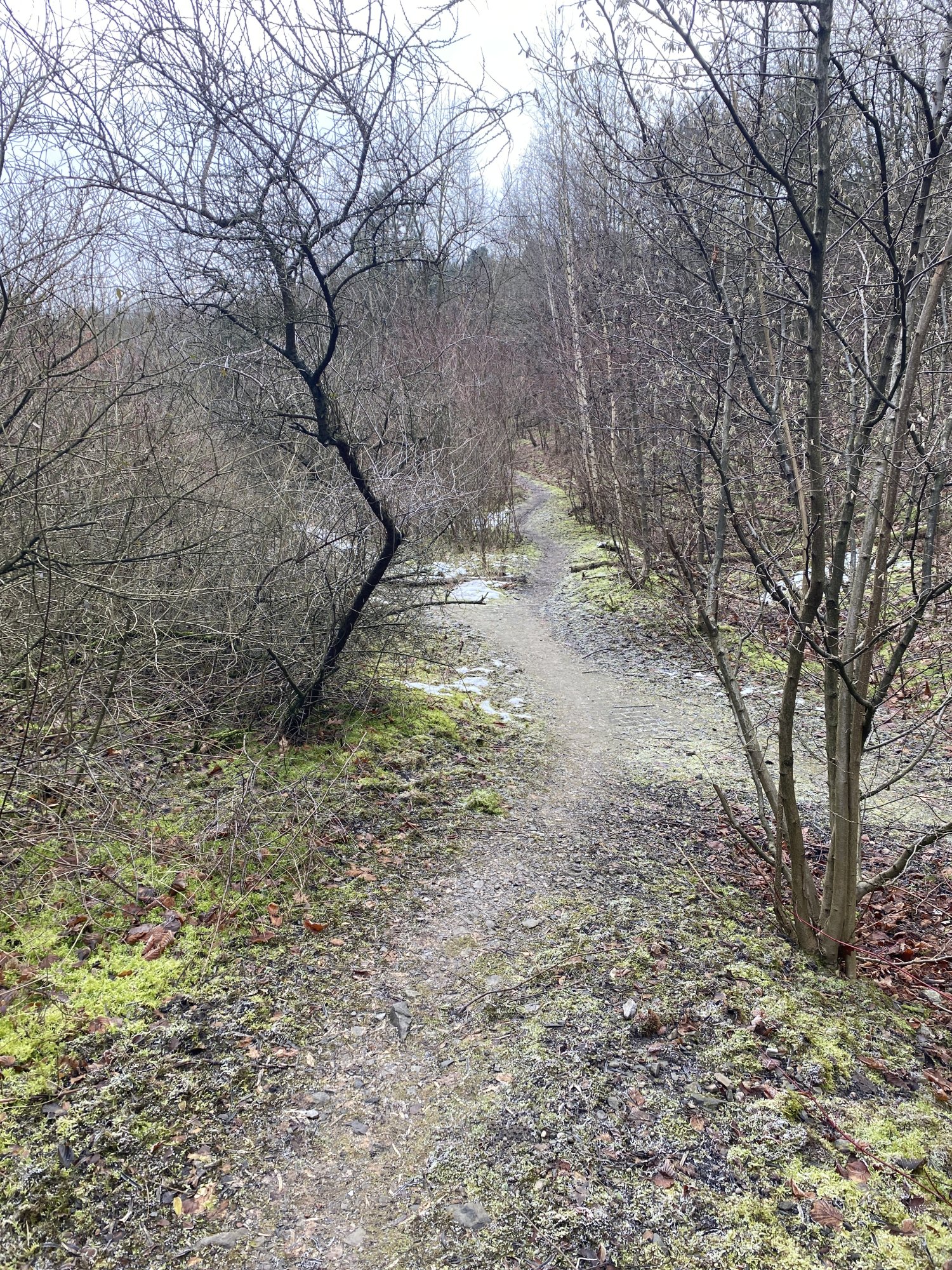 IMG_4965.jpeg