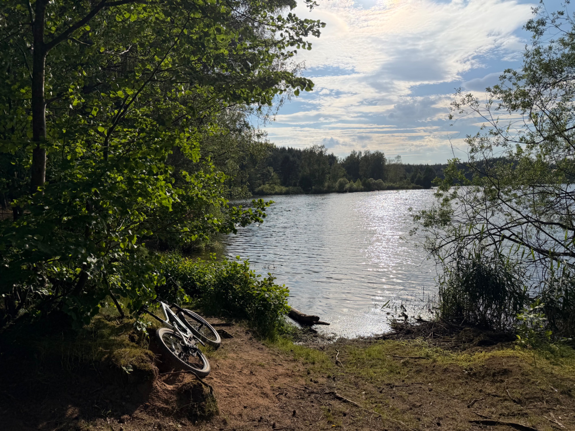 IMG_5012.jpeg