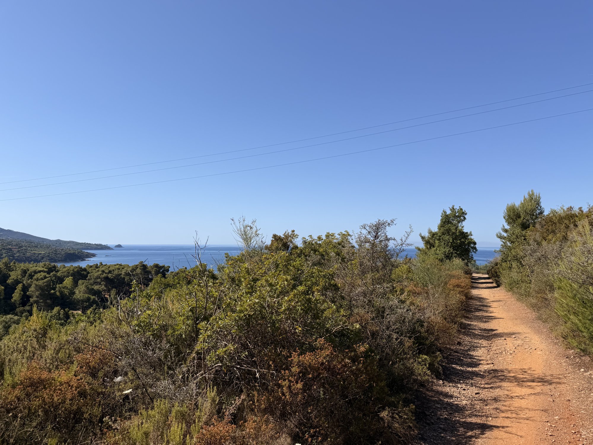 IMG_5506.jpeg