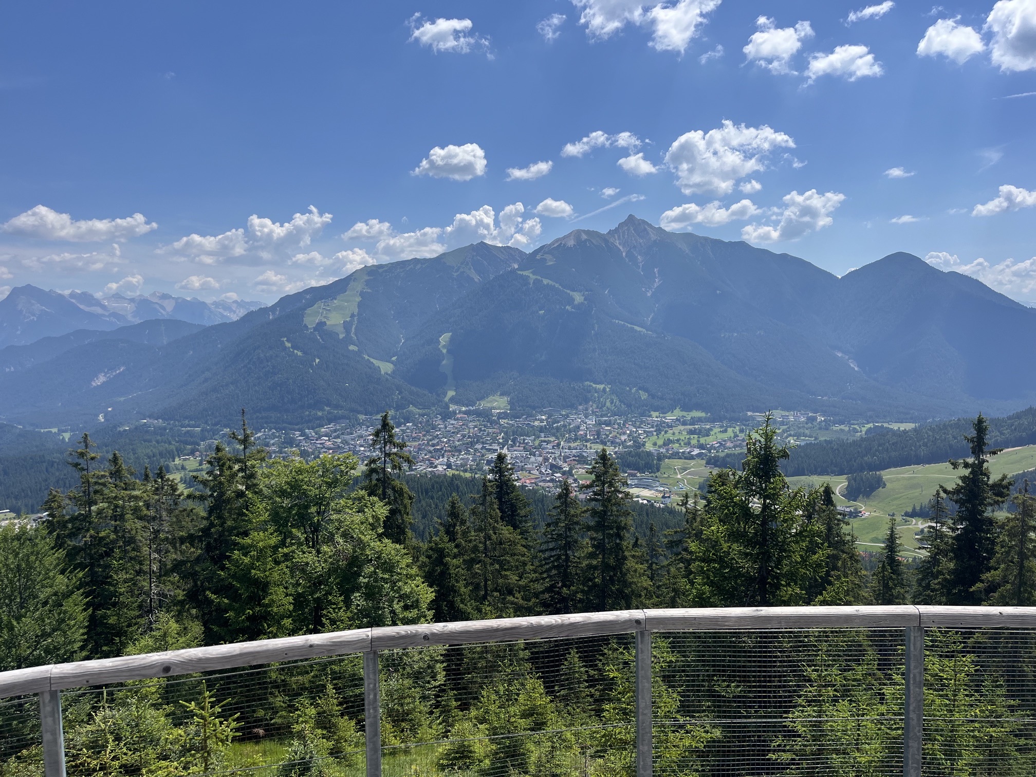 IMG_6004.jpeg