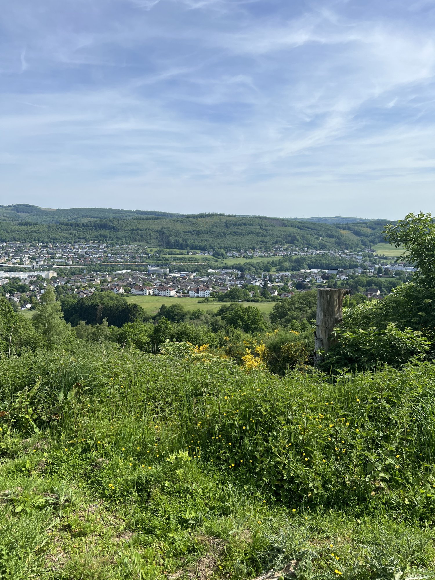 IMG_6164.jpeg