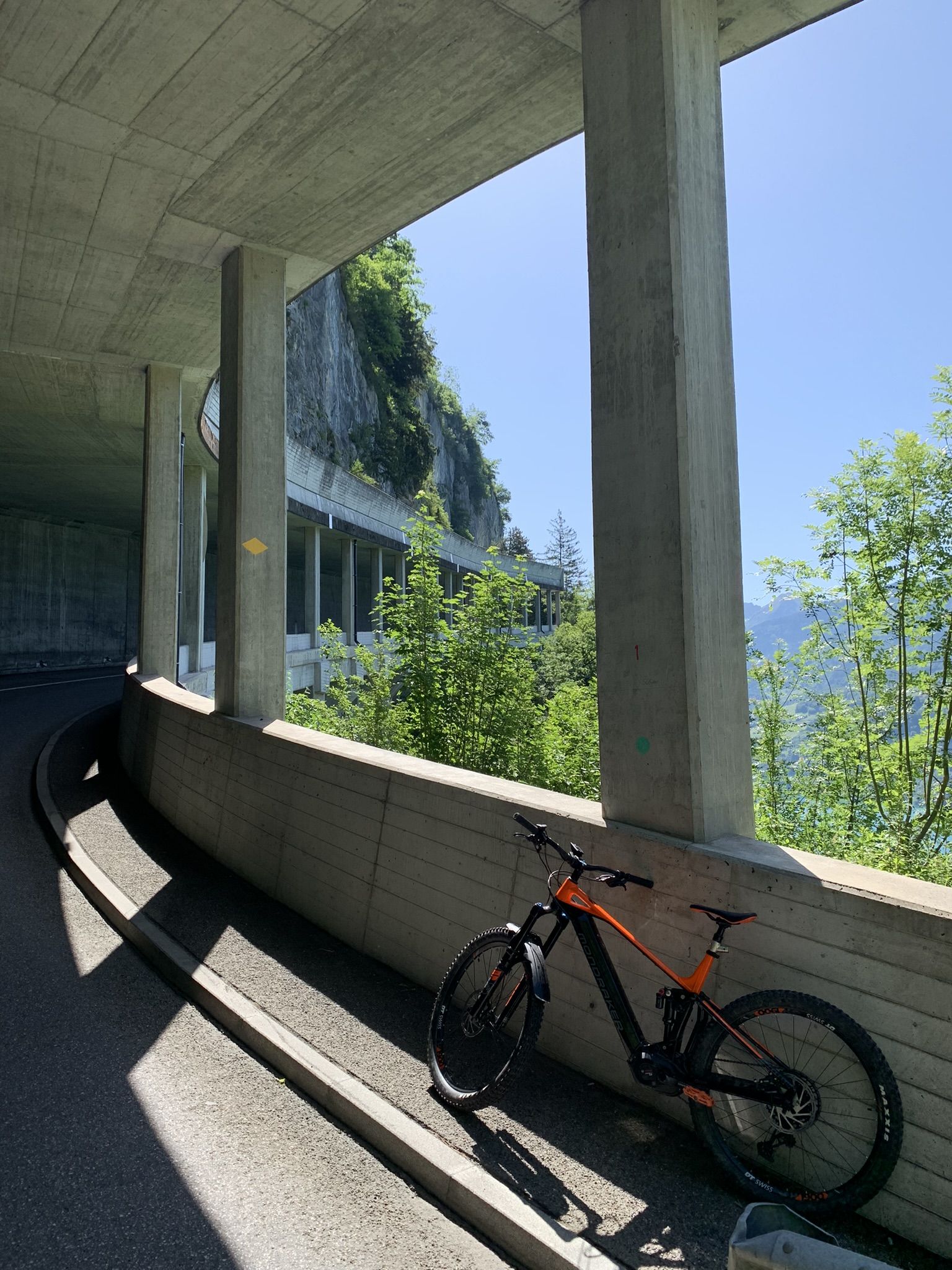 IMG_7663.JPEG