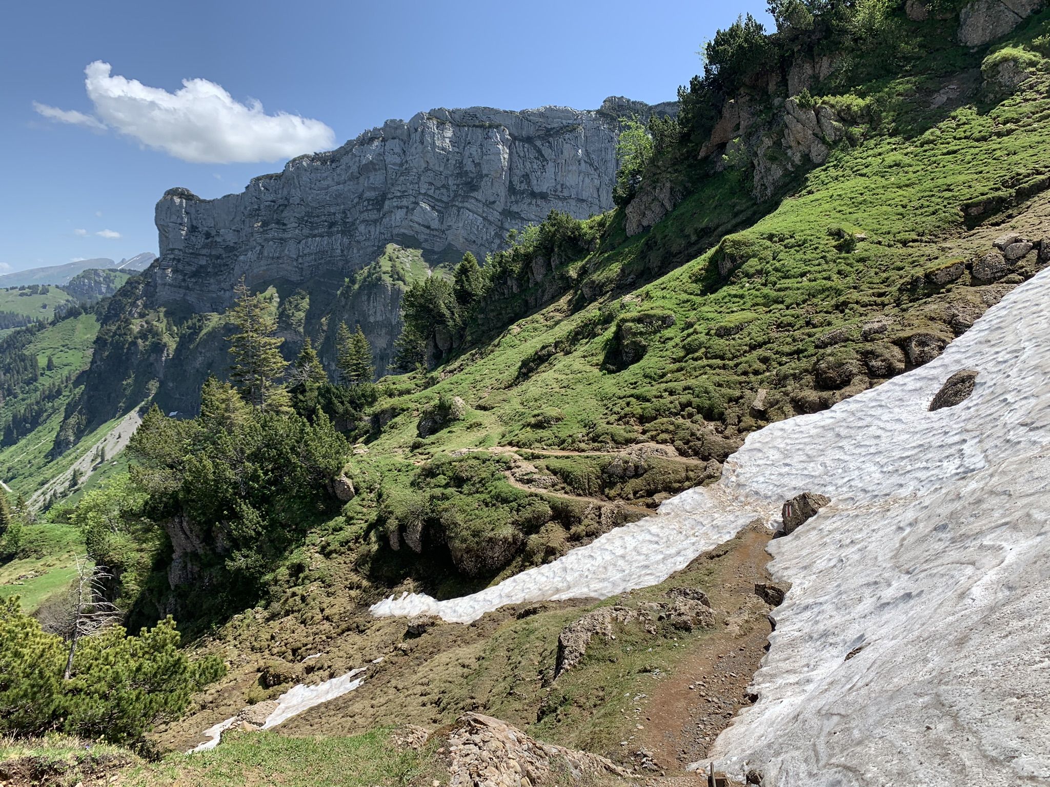 IMG_7732.JPEG