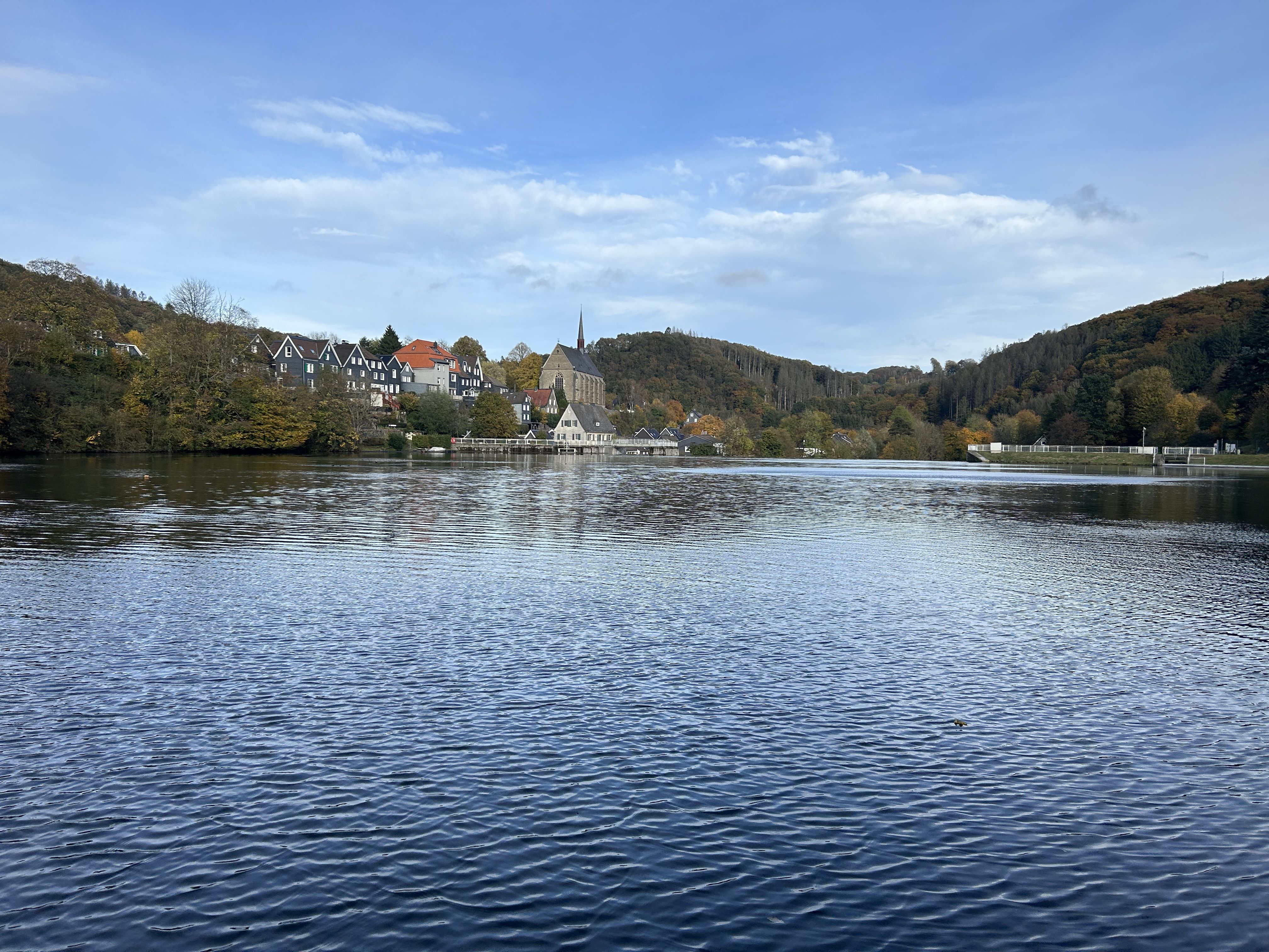 IMG_8044.jpg