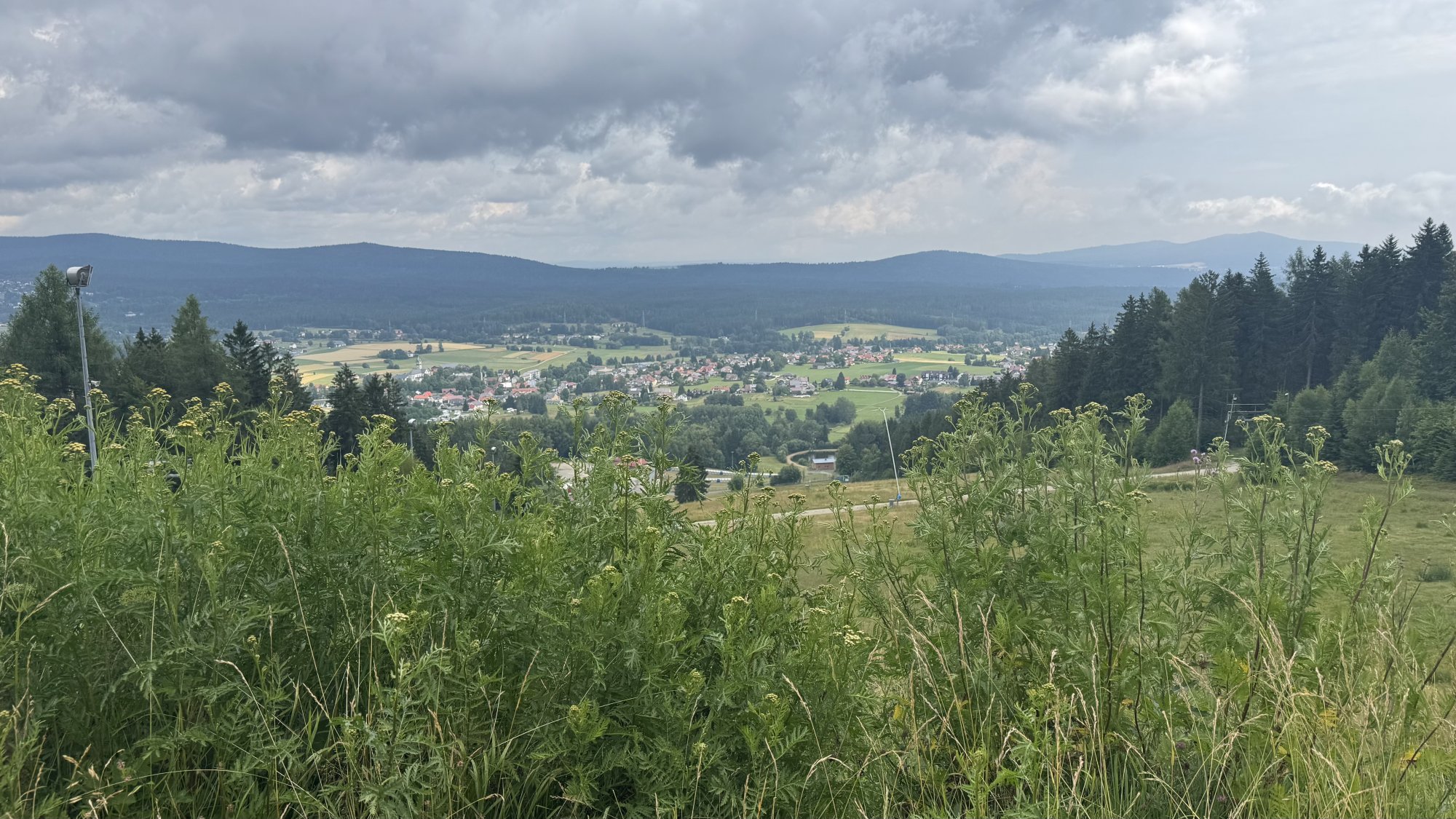 IMG_8213.jpeg