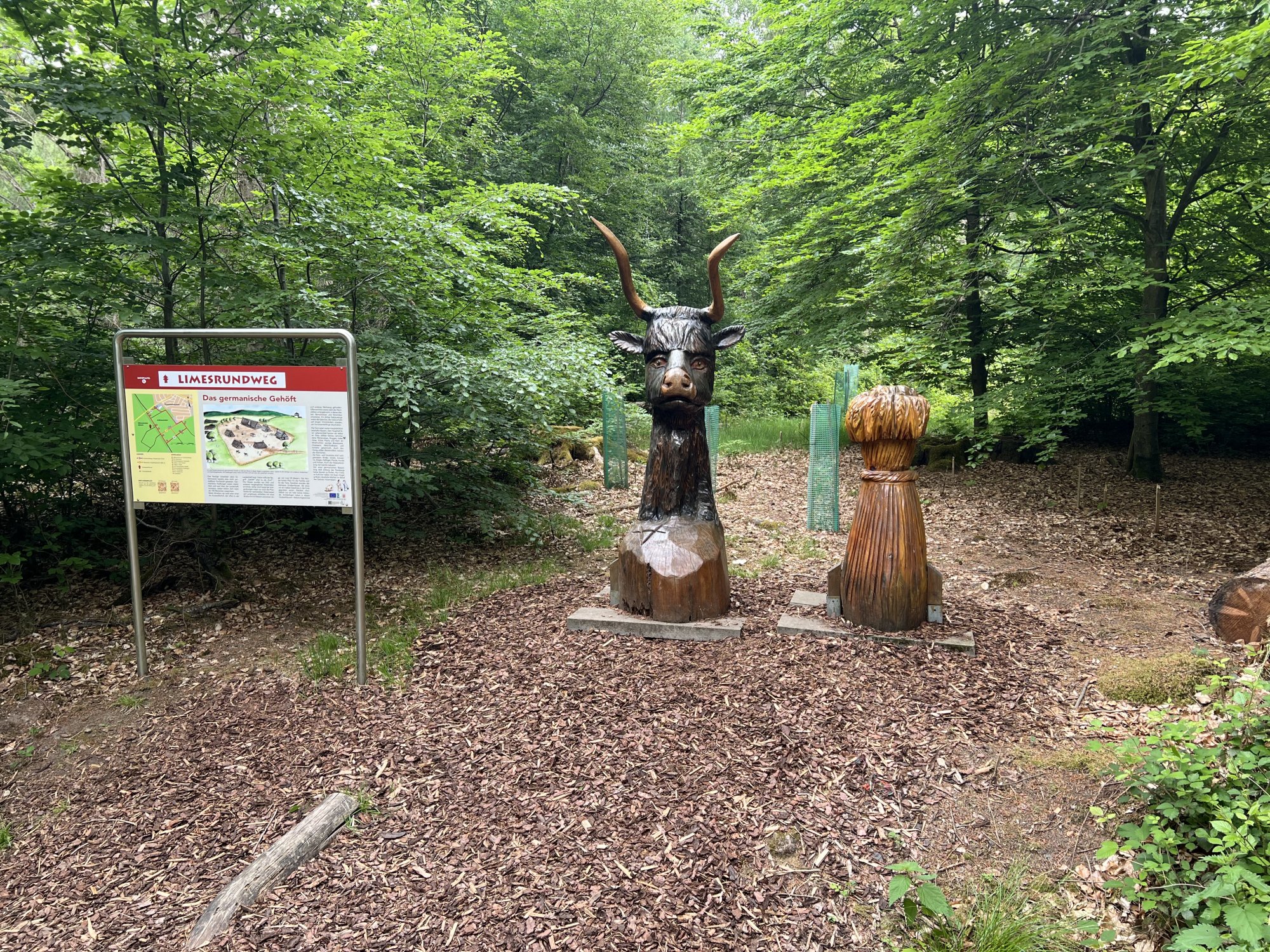 IMG_8302.jpeg