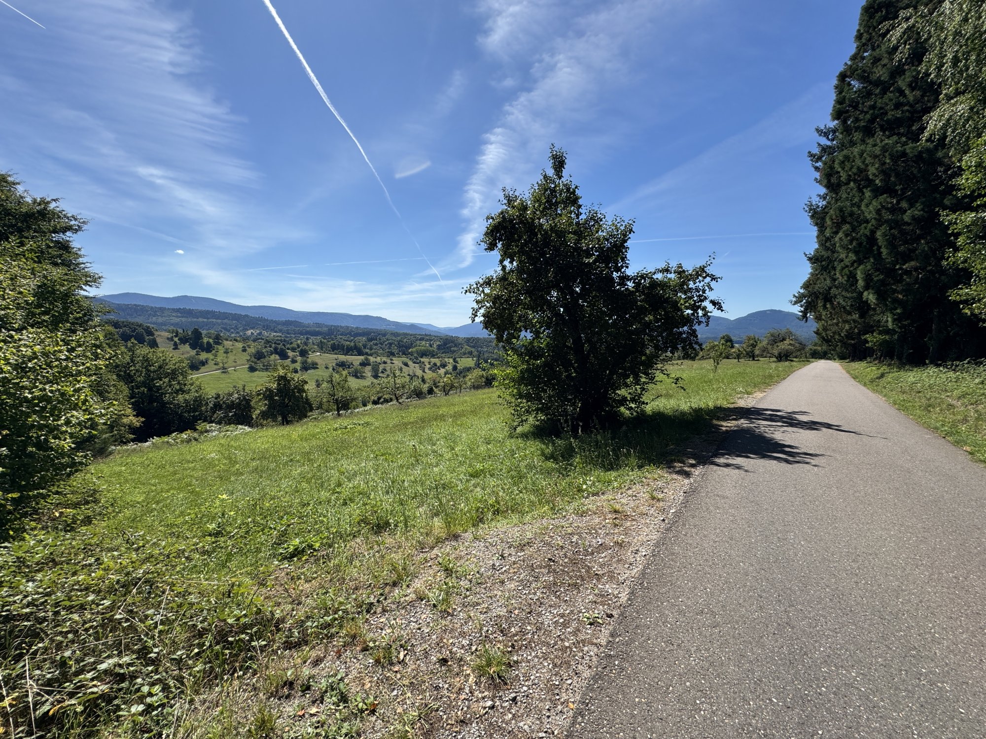 IMG_8830.jpeg