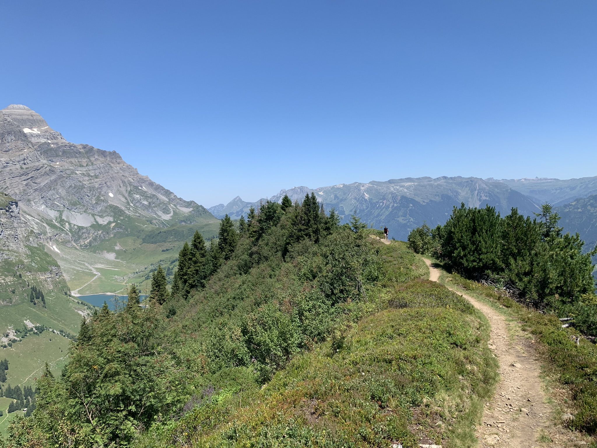 IMG_8833.JPEG
