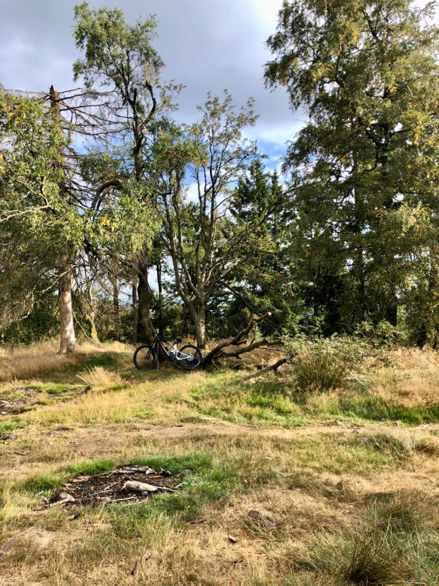 IMG_9143.jpeg