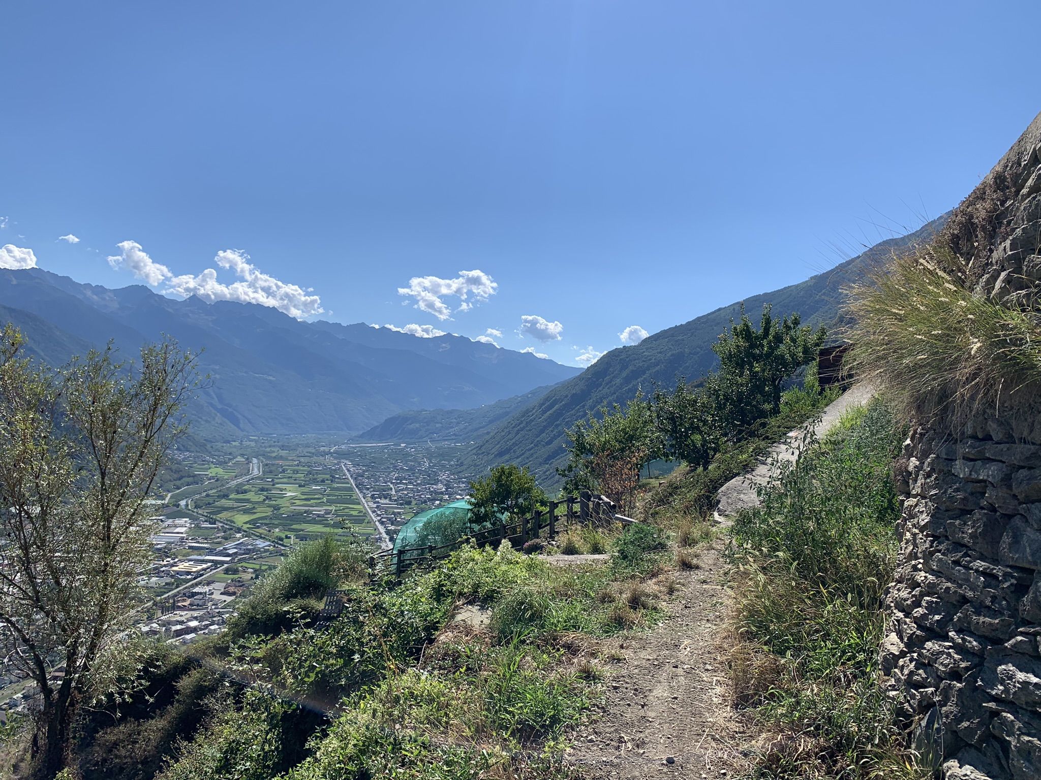IMG_9792.JPEG