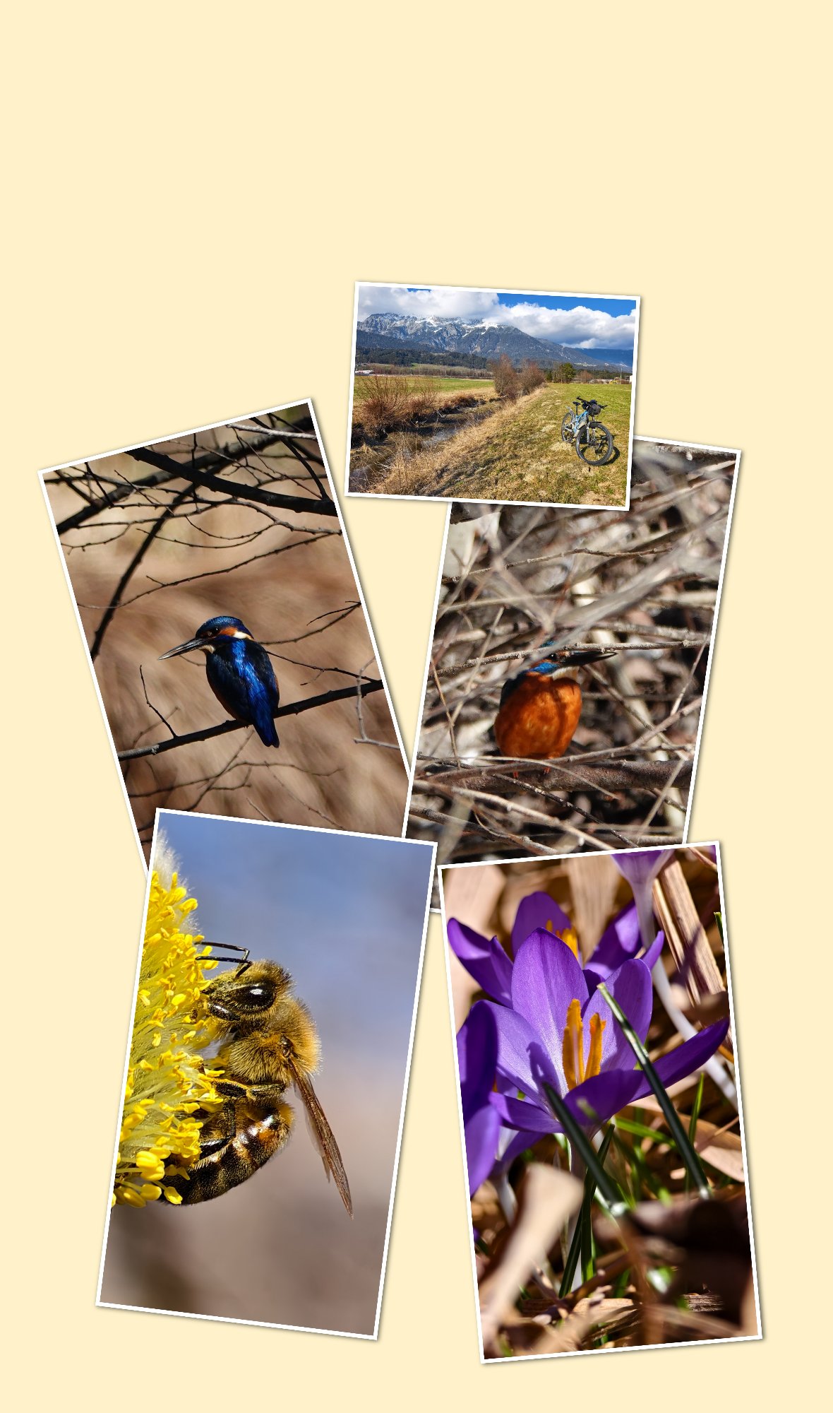 InCollage_20250306_141926232.jpg