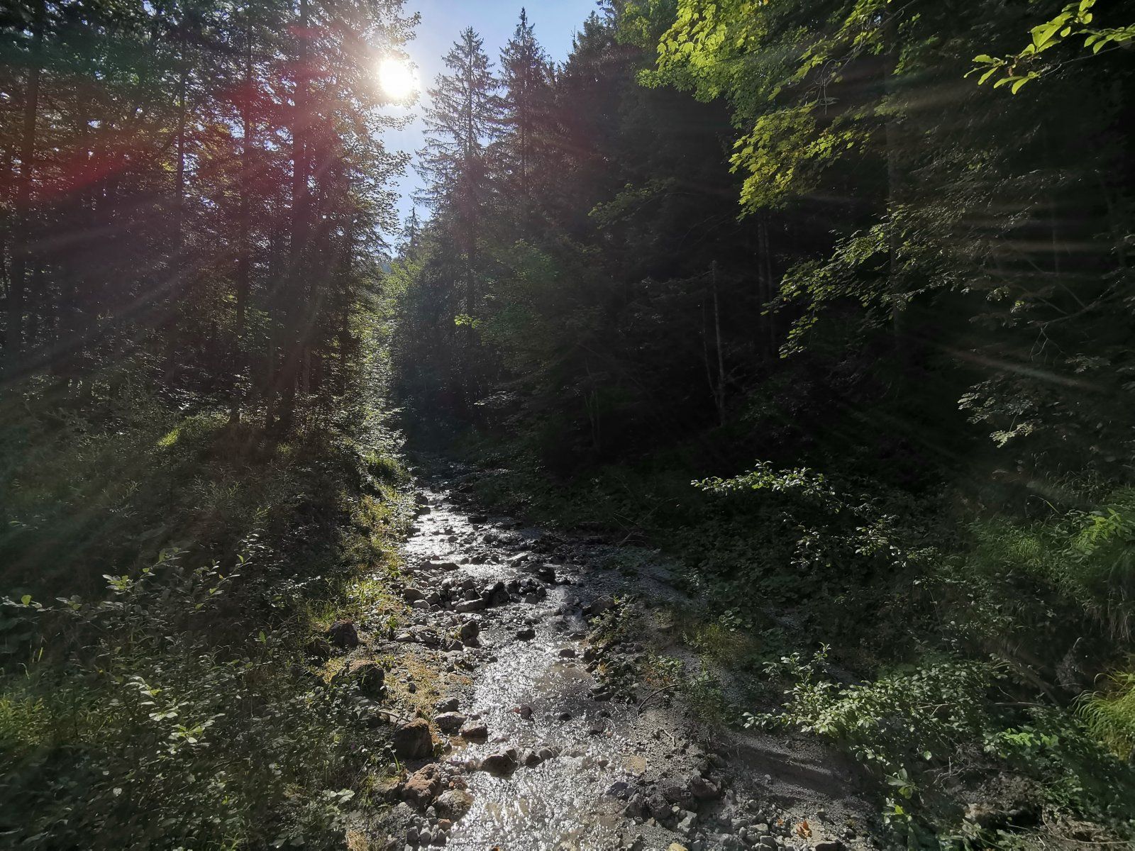 Leogang Tag2 05.jpg