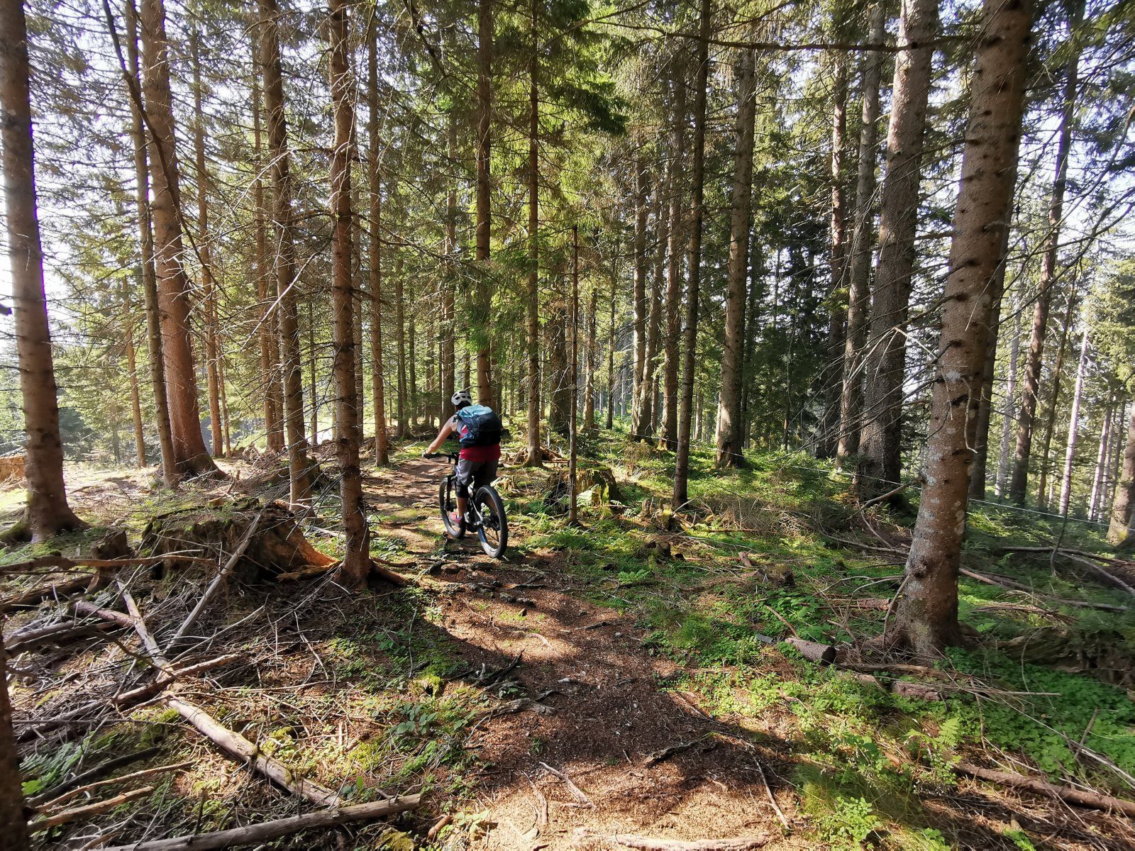 Leogang Tag2 10.jpg