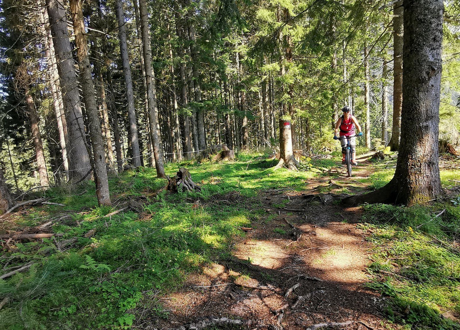 Leogang Tag2 14.jpg