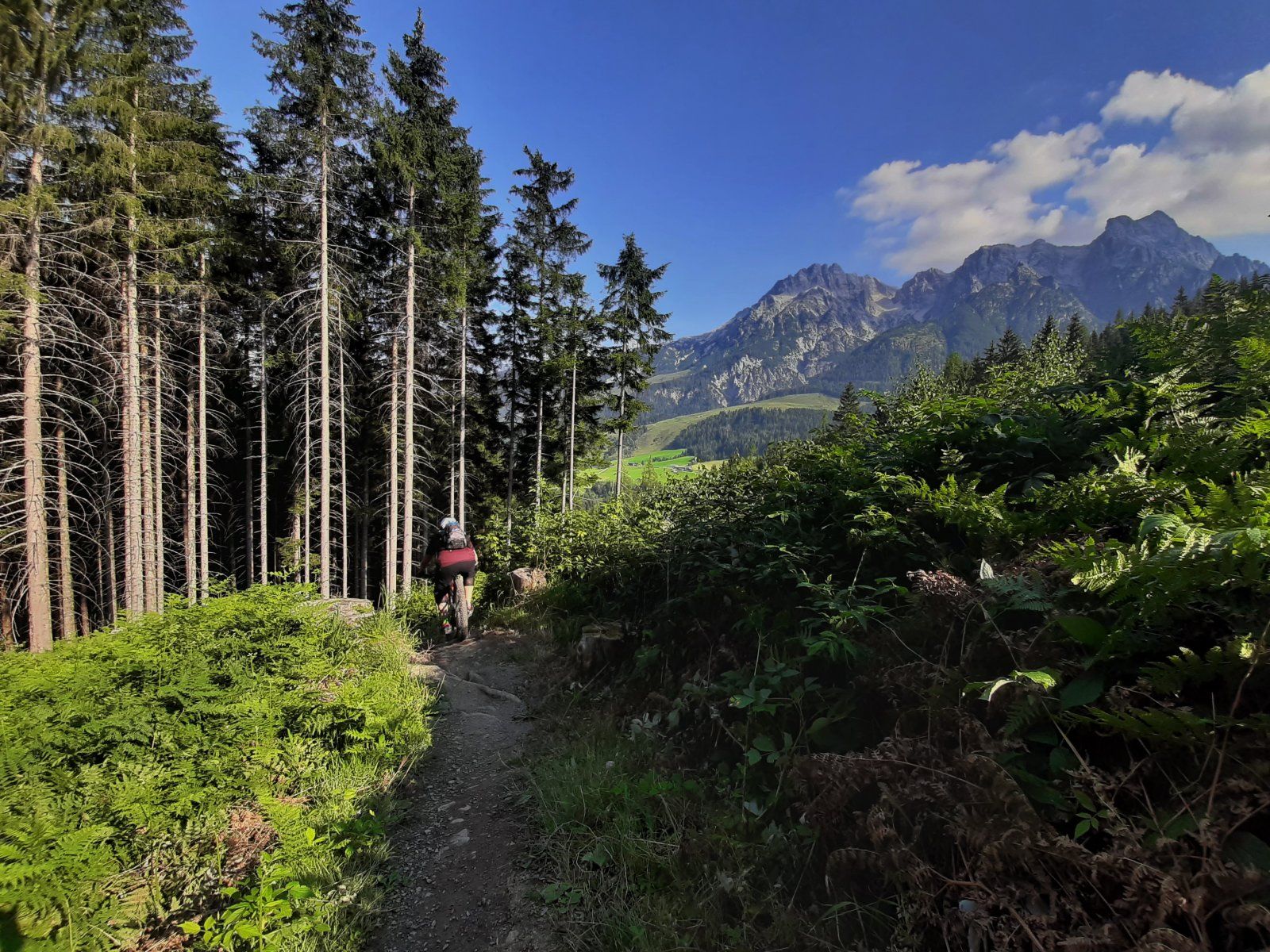 Leogang Tag3 04.jpg