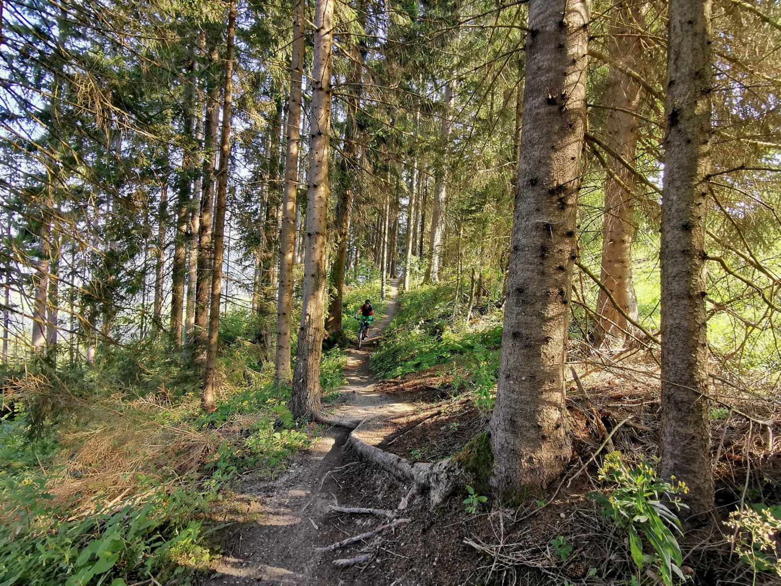 Leogang Tag3 06.jpg