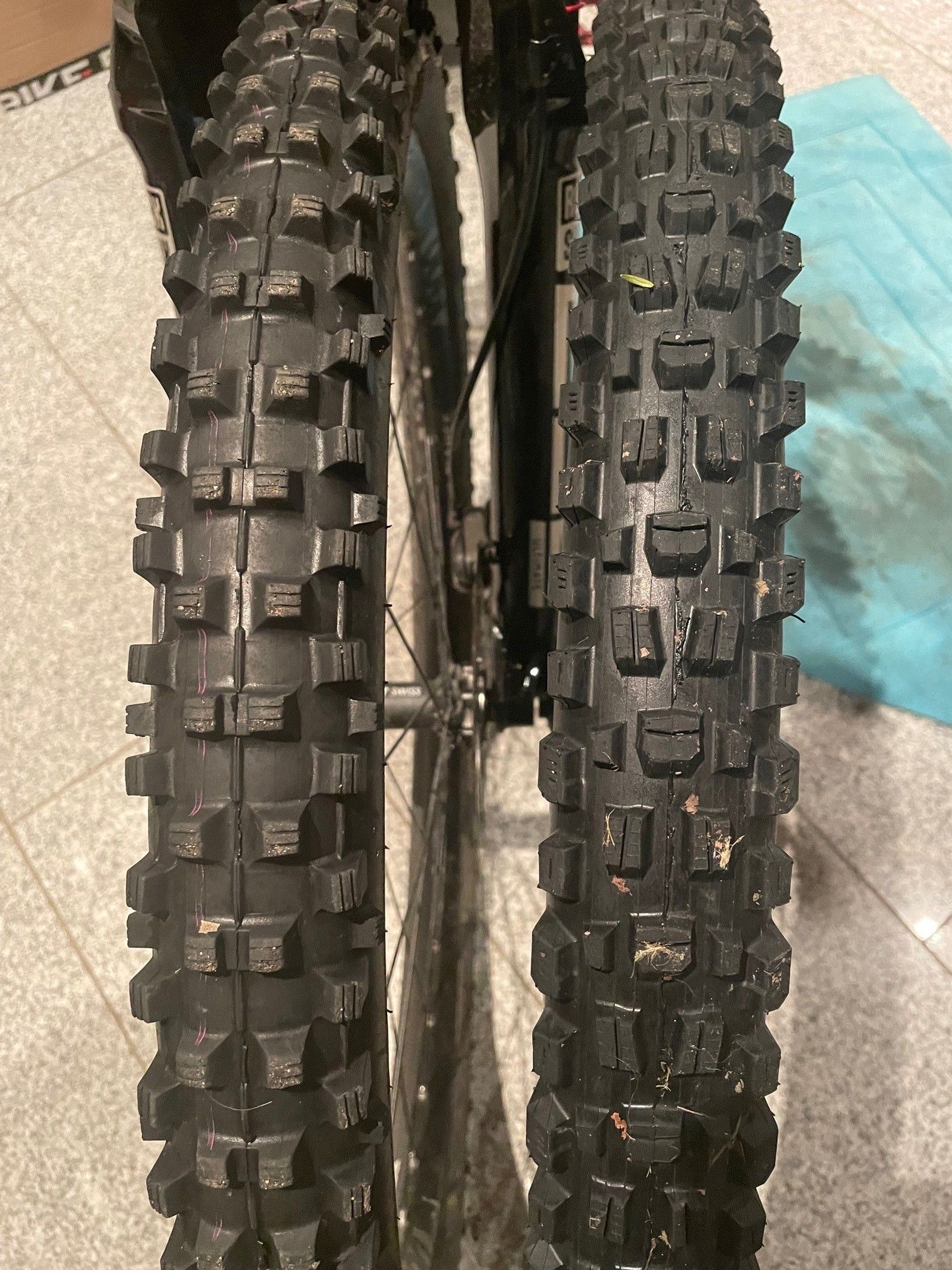 links Dirty Dan rechts Assegai.jpg