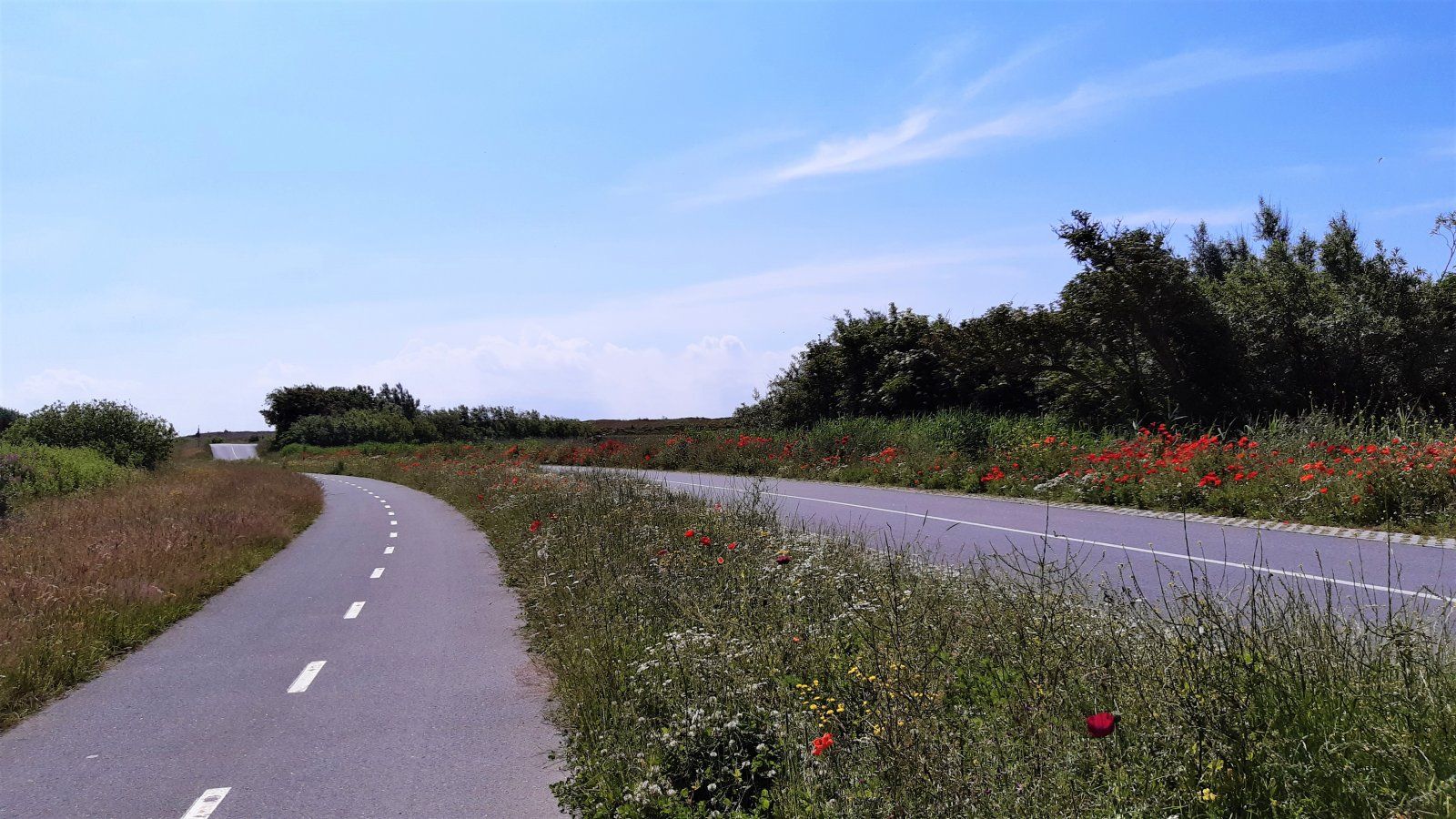 M1.jpg