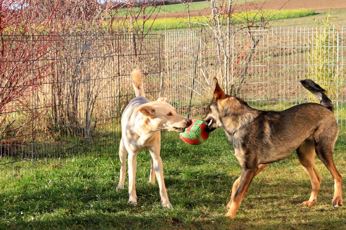 Mila&Sherry_25.JPG