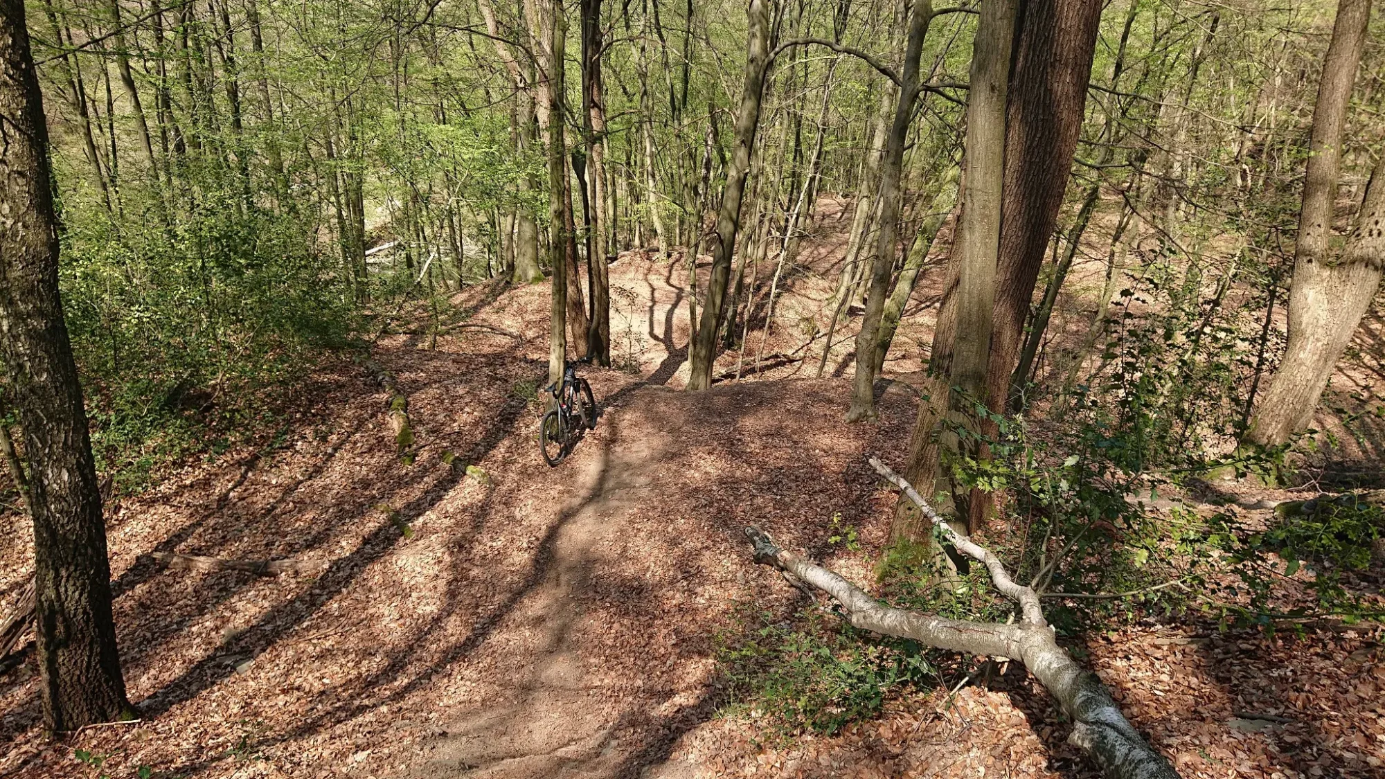 MTB1.webp