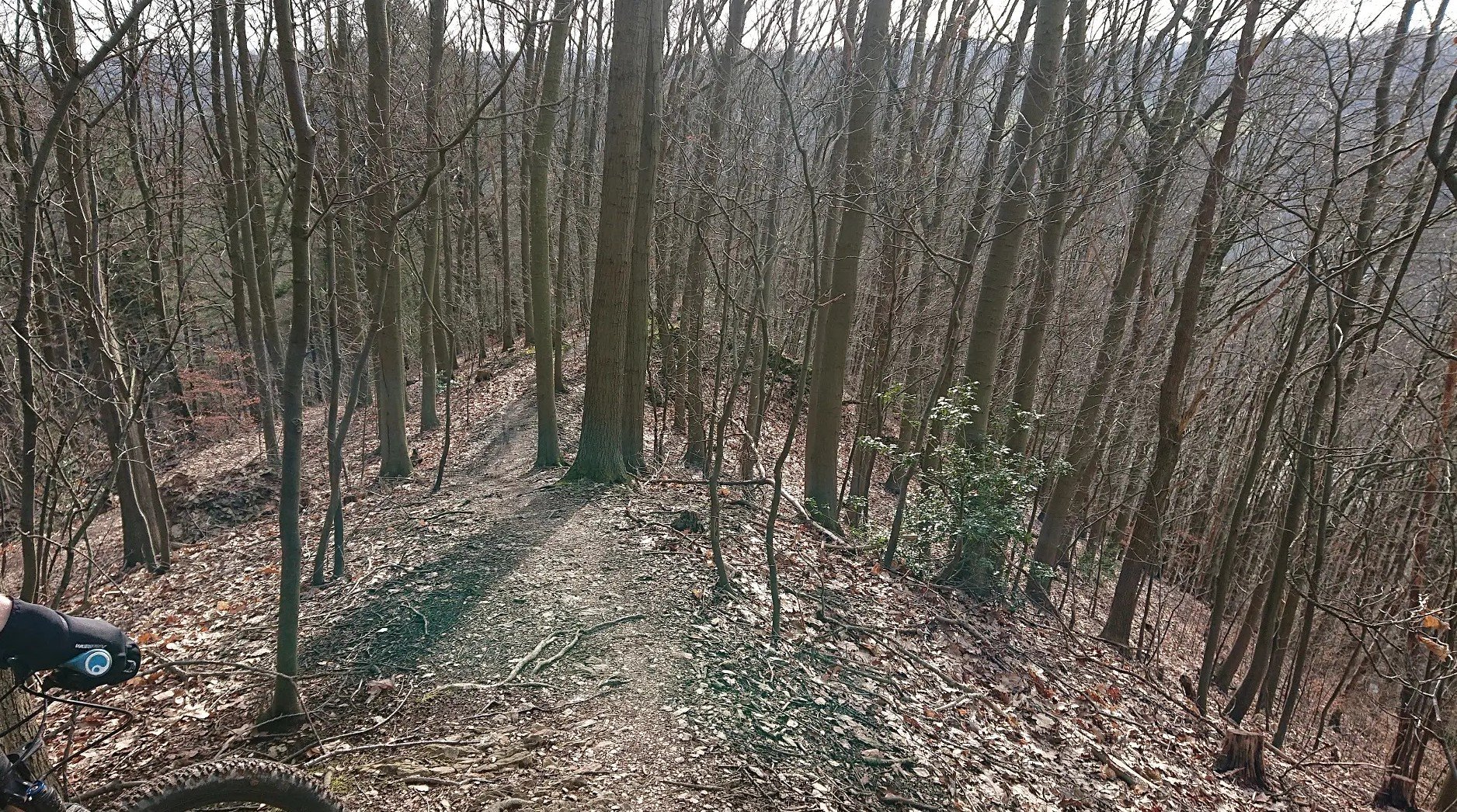MTB5.jpg
