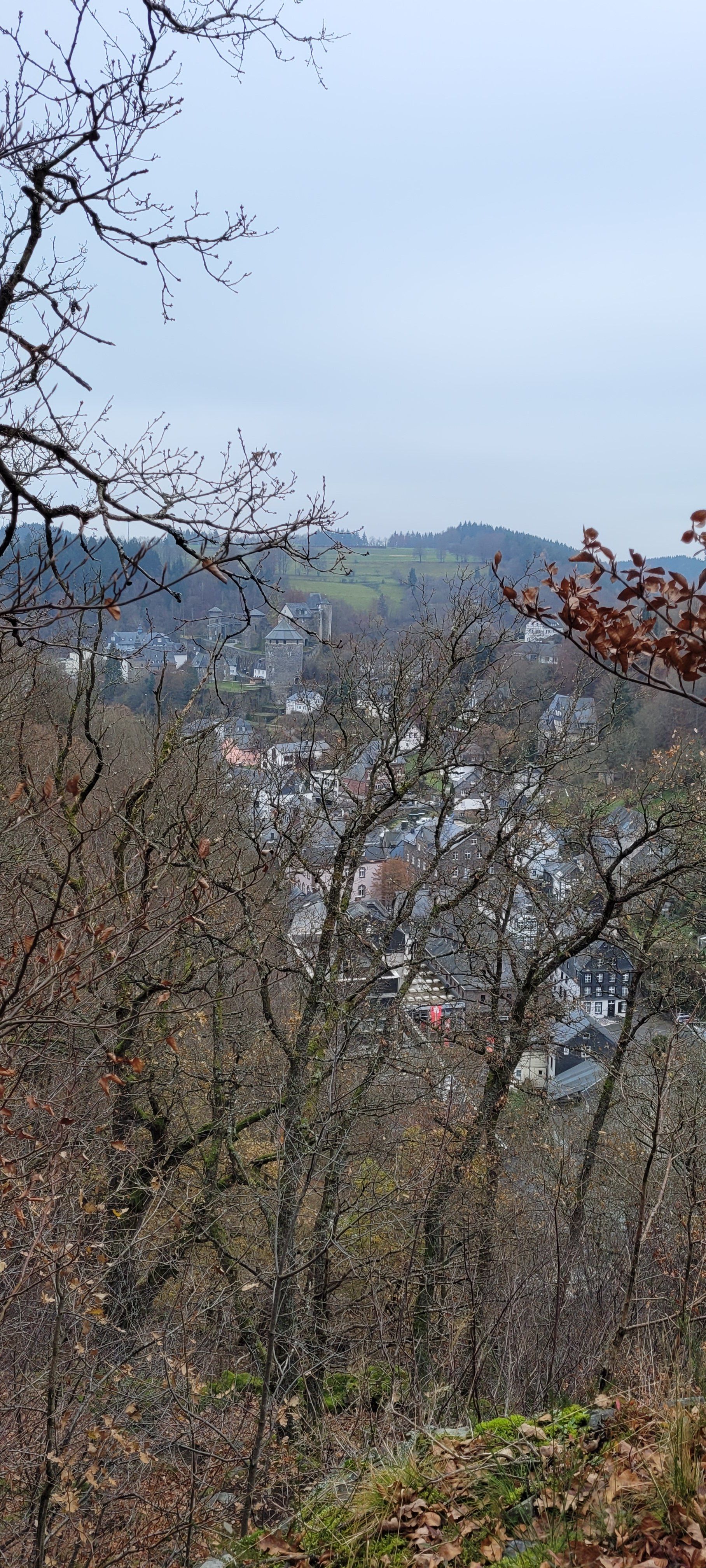 n11.jpg