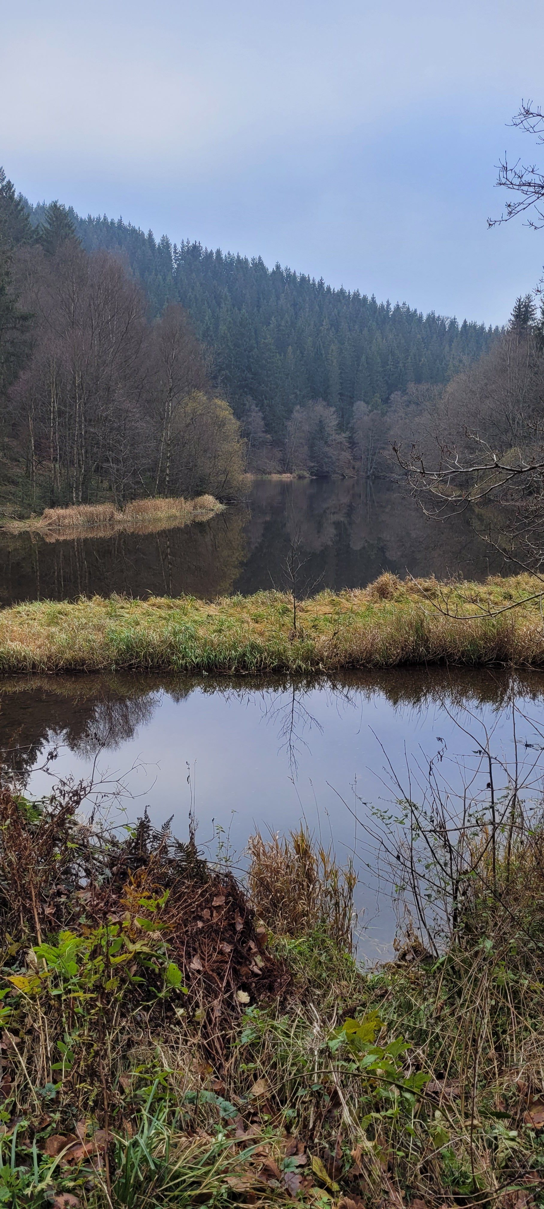 n141.jpg