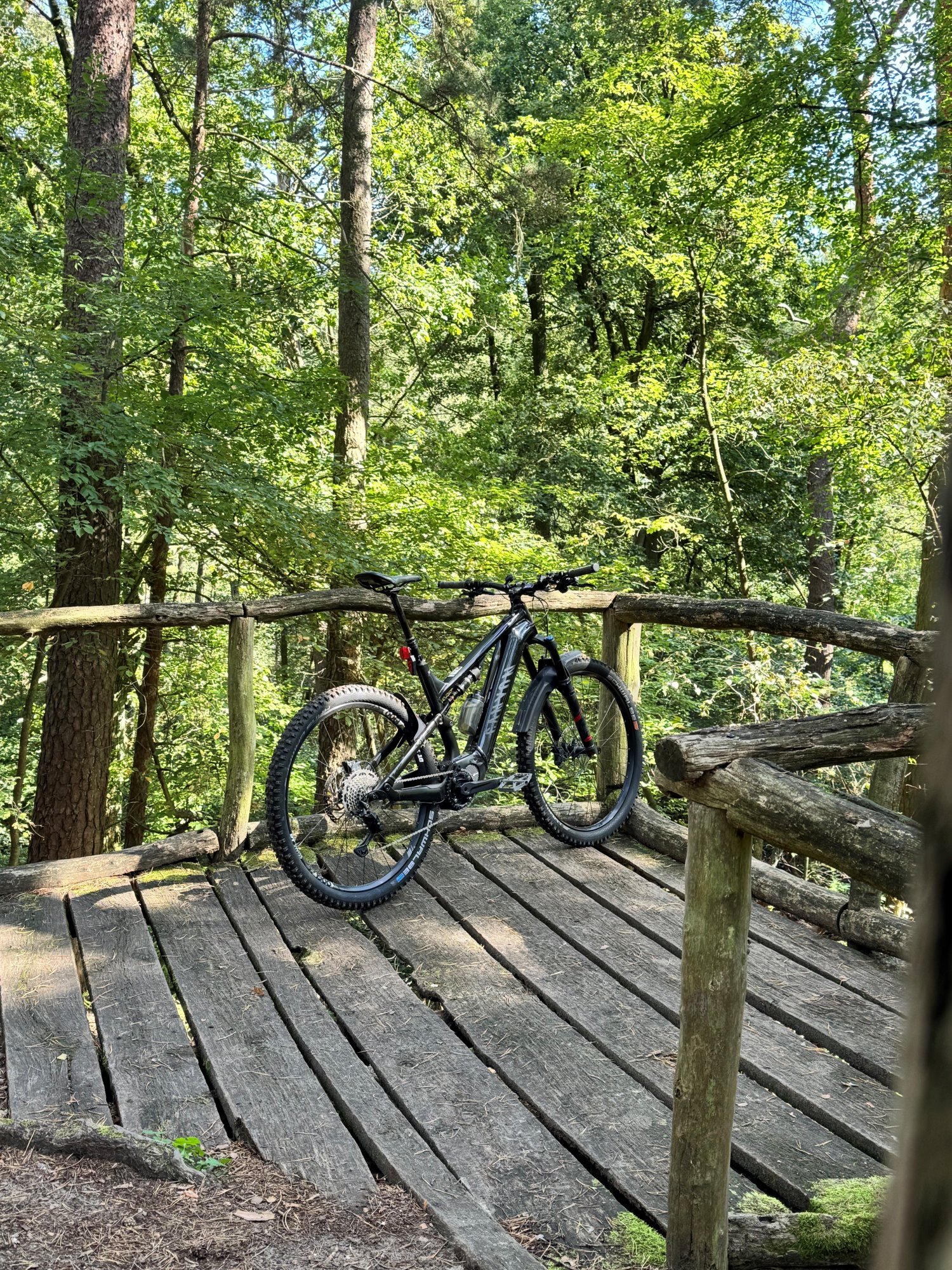 natur2.jpg