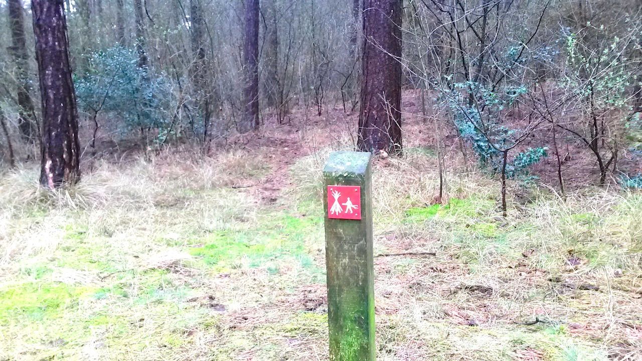 Naturpfad.jpg