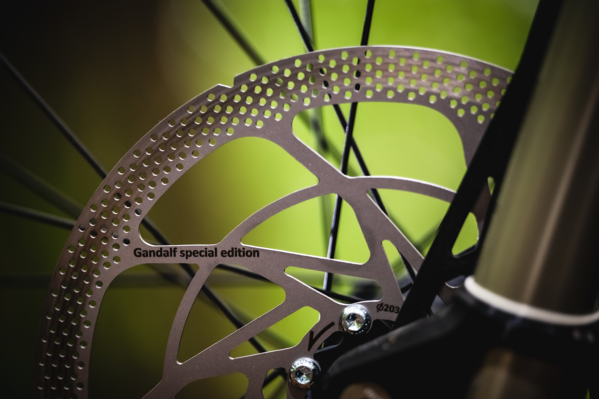 Nicolai Saturn MGU Photo_by_Enrico_Haase_DSC_1467_300dpi.jpg