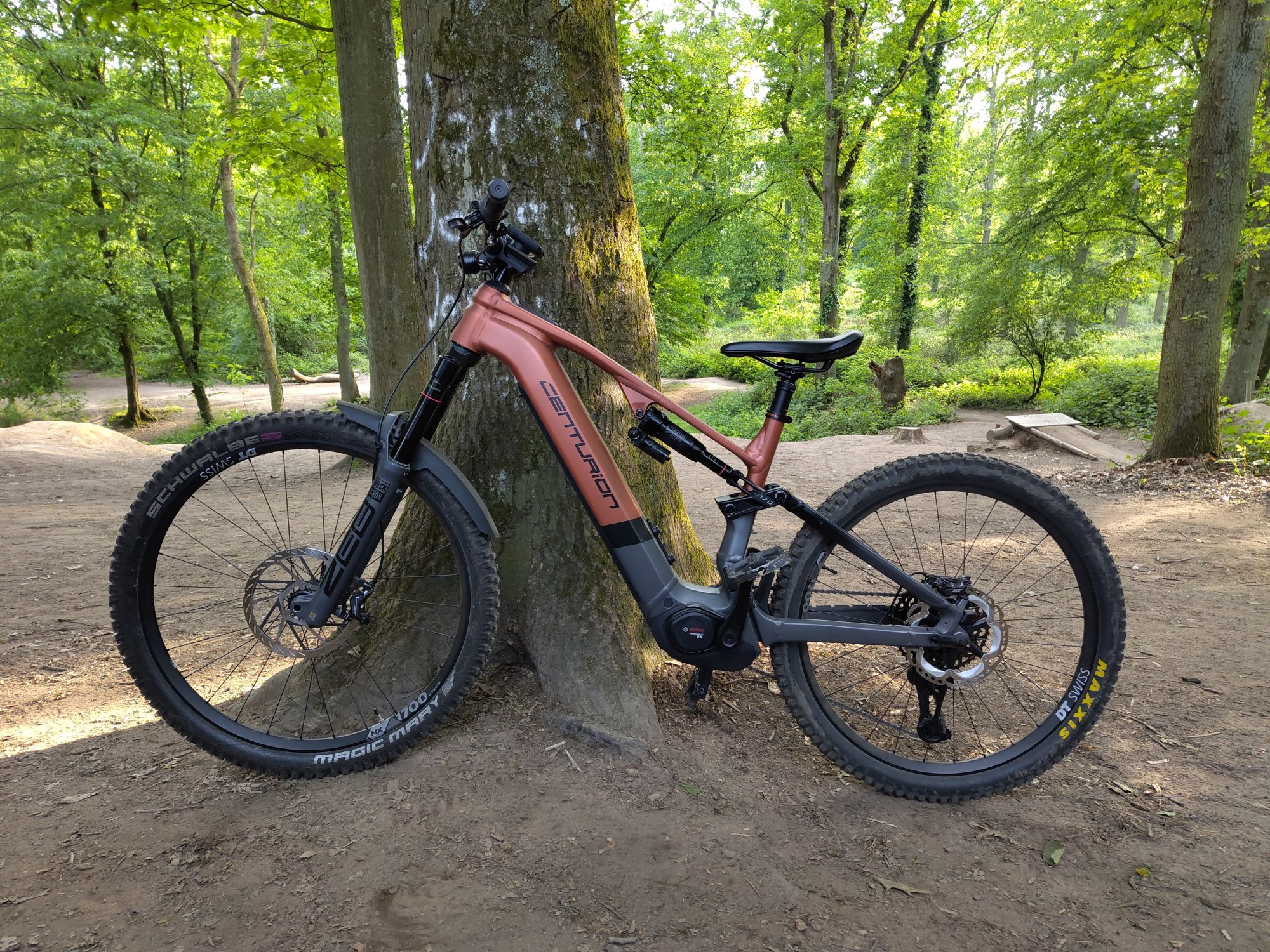 No-Pogo-01.jpg