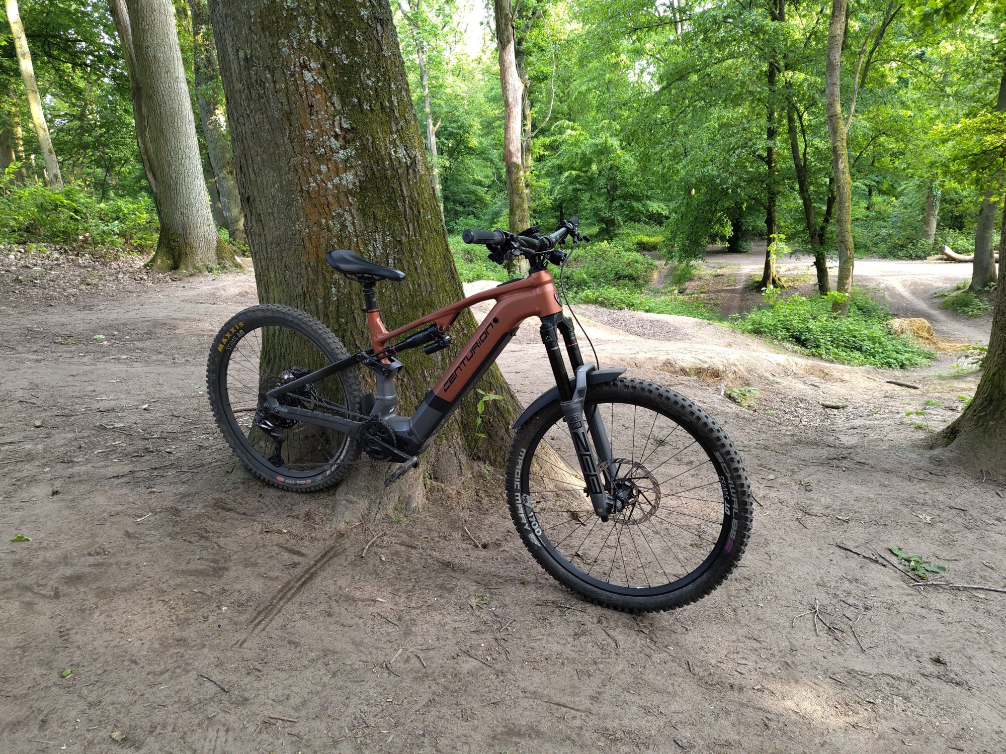 No-Pogo-02.jpg