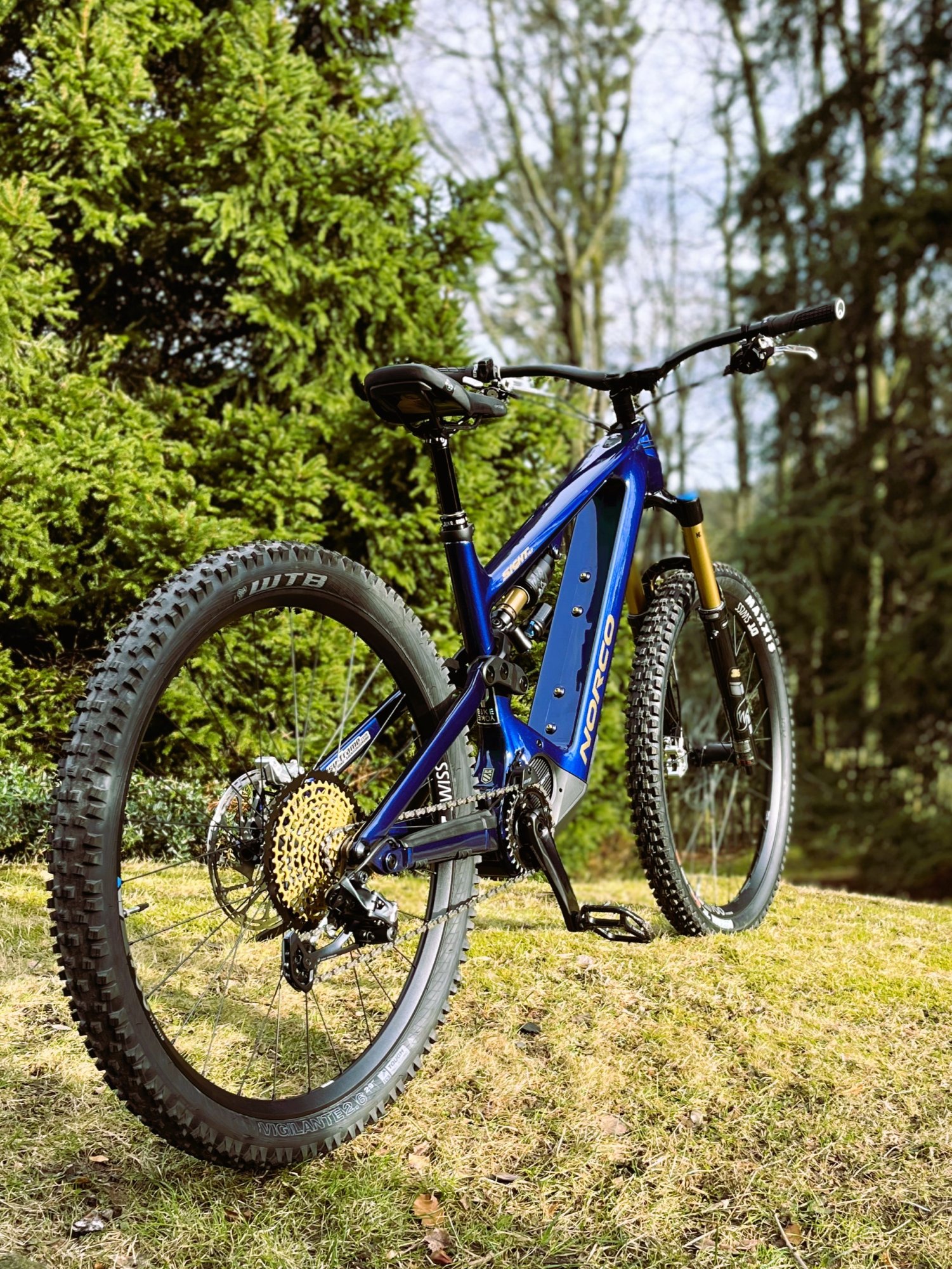 NORCO SIGHT VLT 01.jpg